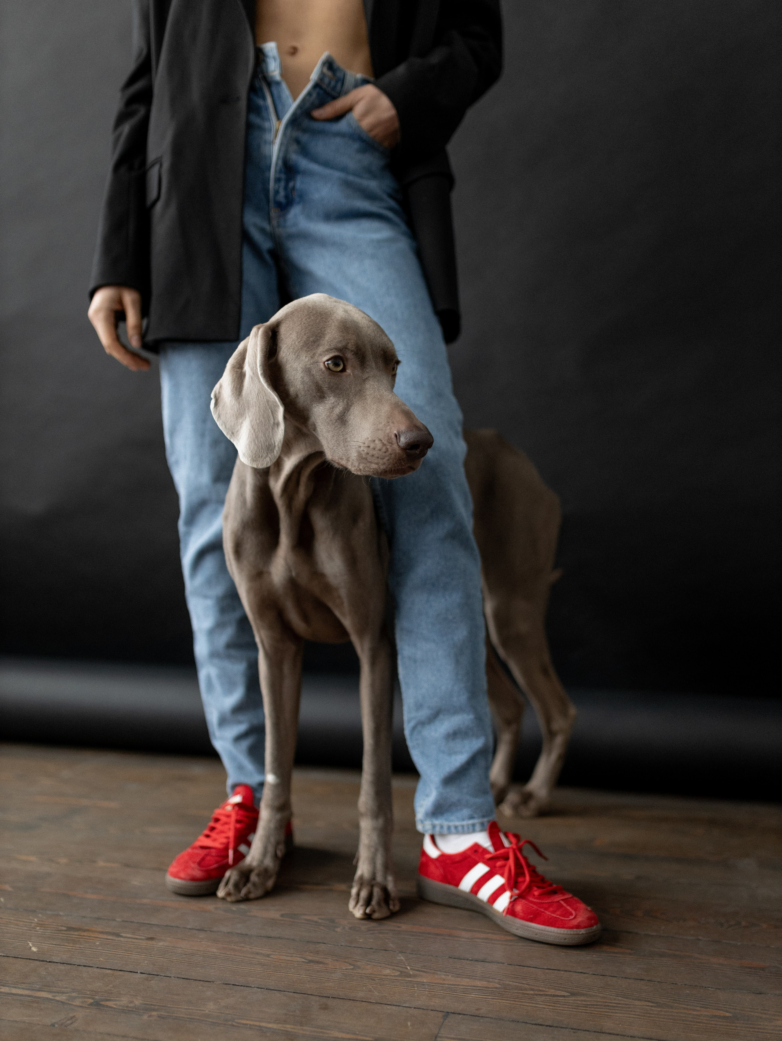 Сенча и Даша. Фотограф-анималист в Москве Кириллова Татьяна