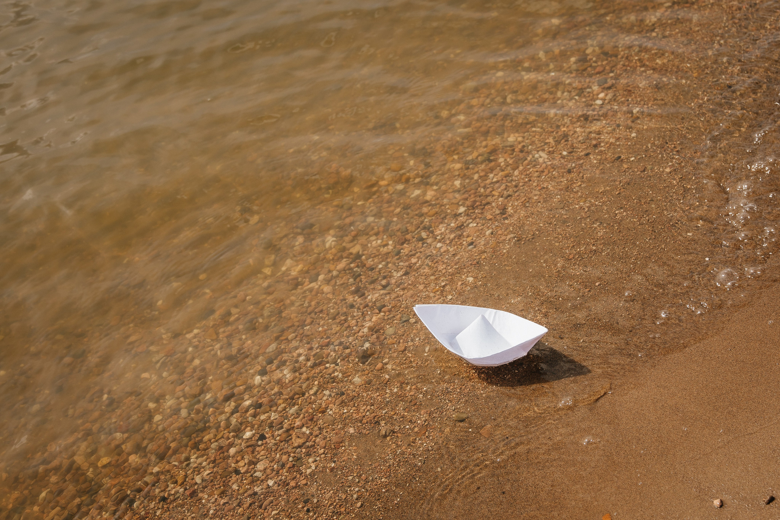 Семья — один из шедевров природы. Алла Пластинина — Фотограф Ижевск