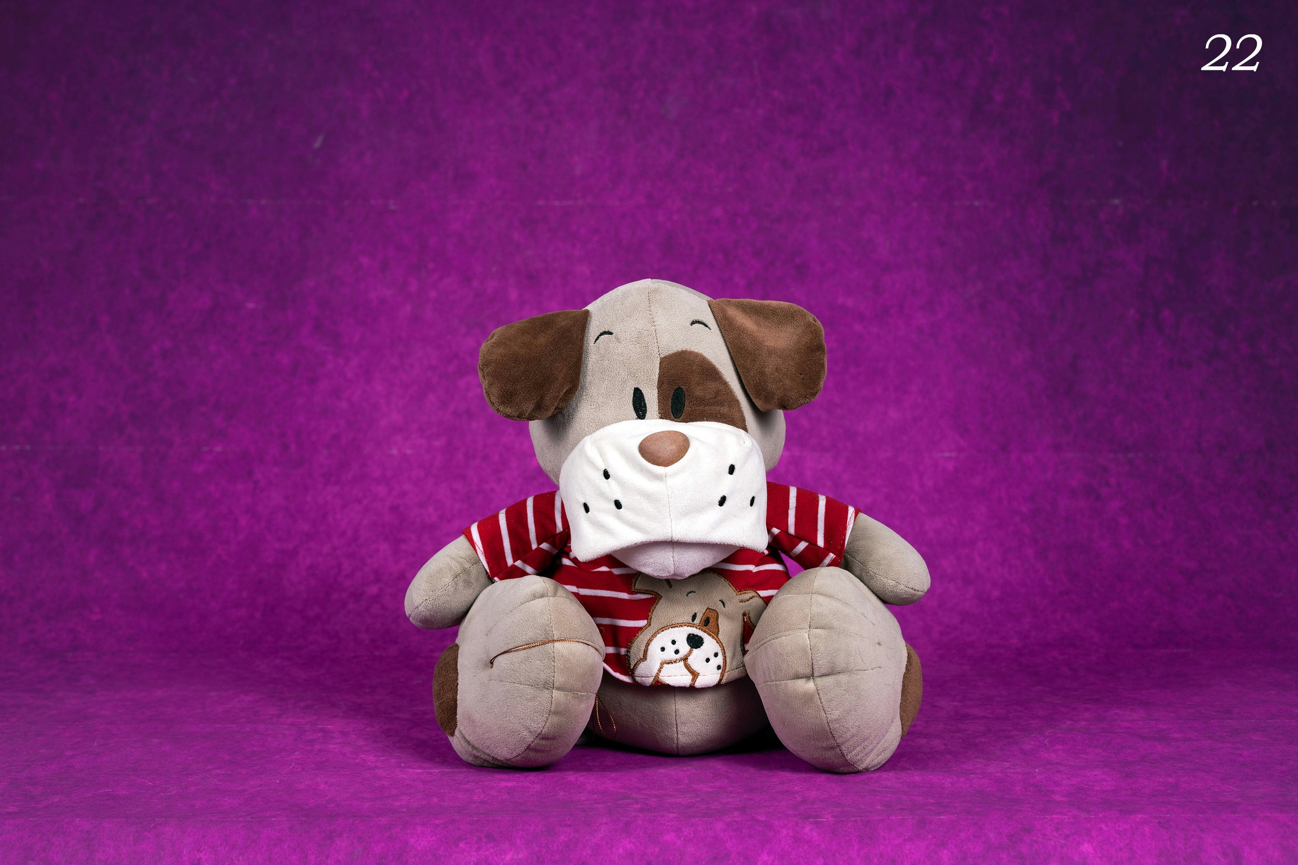 Фоны спектра радуги. Фотограф-анималист в Омске Екатерина Маричева