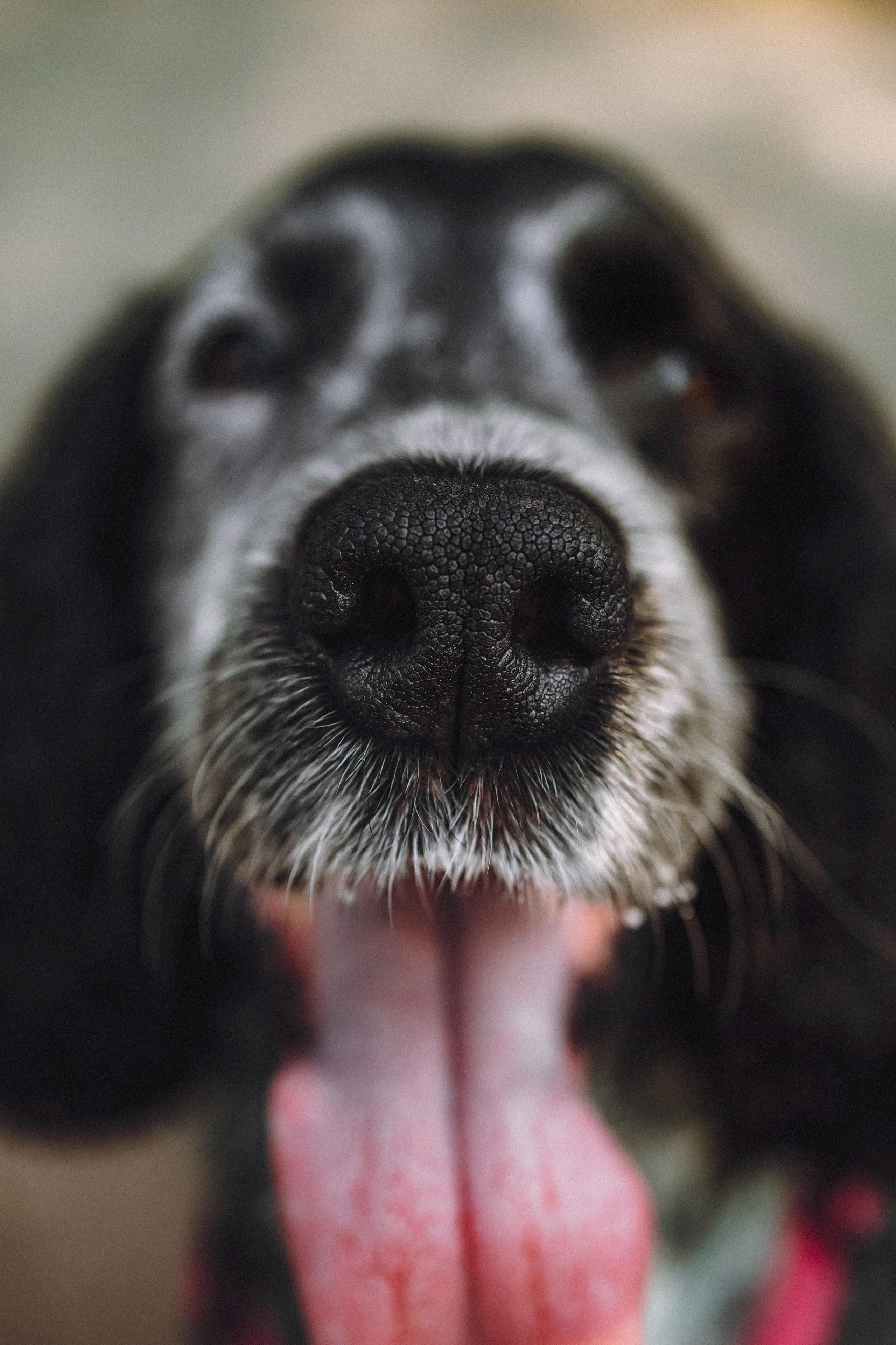 Маша и Ларри