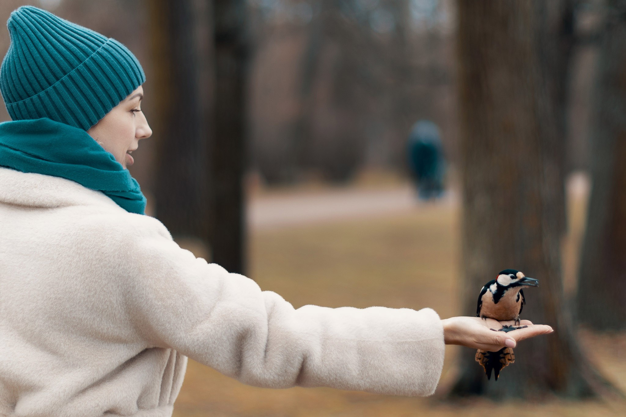 Екатерининский Парк (Царское Село). Фотограф Валерий Сабрам