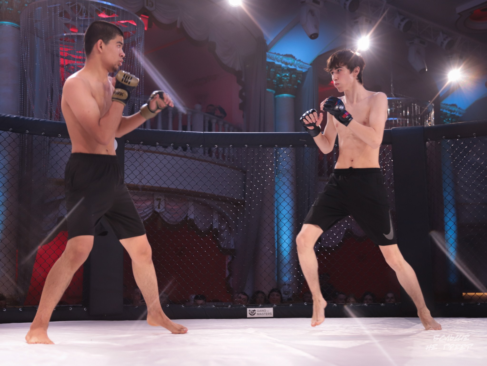 SABR FIGHTING. Больше не греет