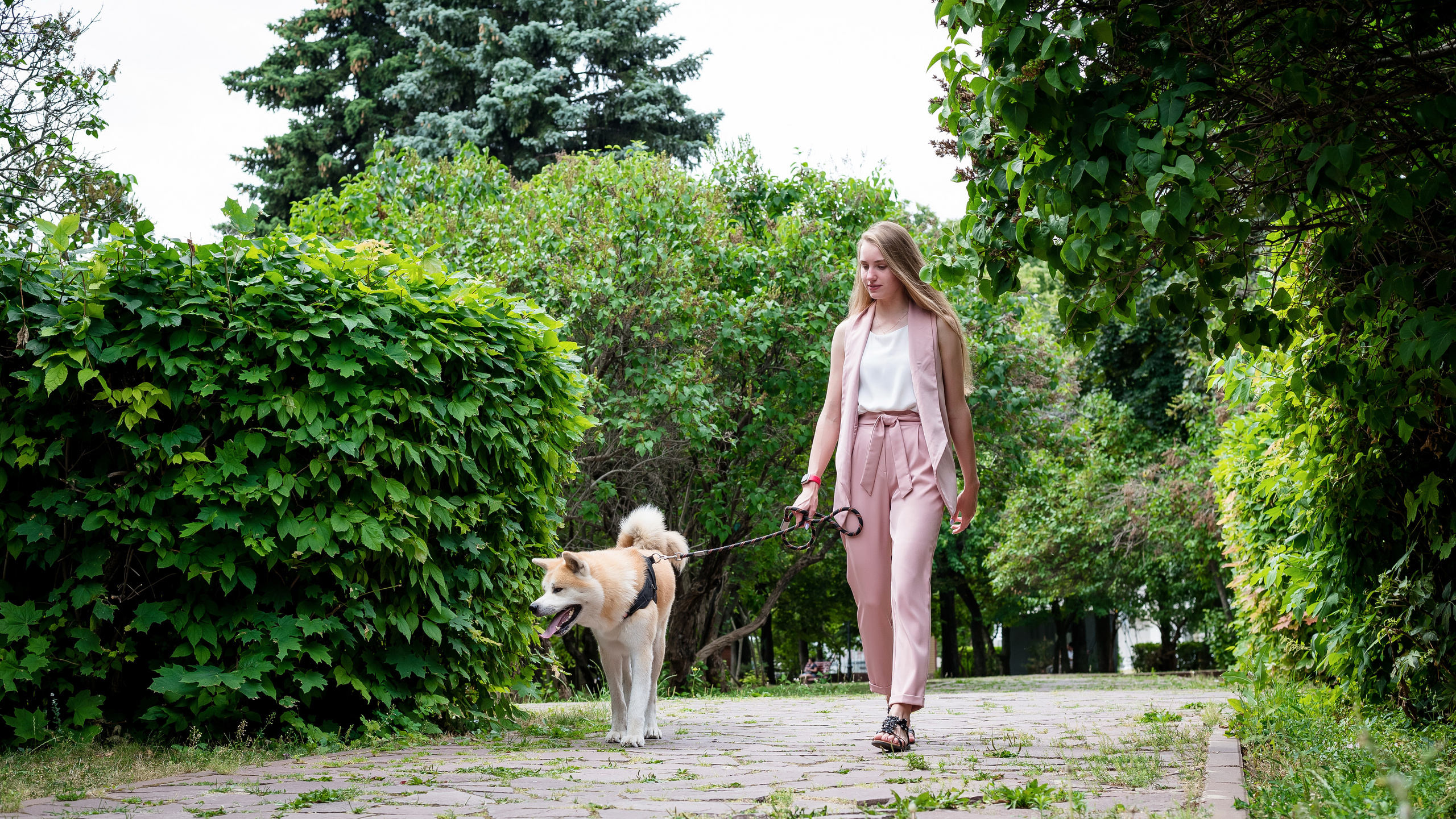 Семейная фотопрогулка. Бжицких Виталий — фотограф г. Ульяновск