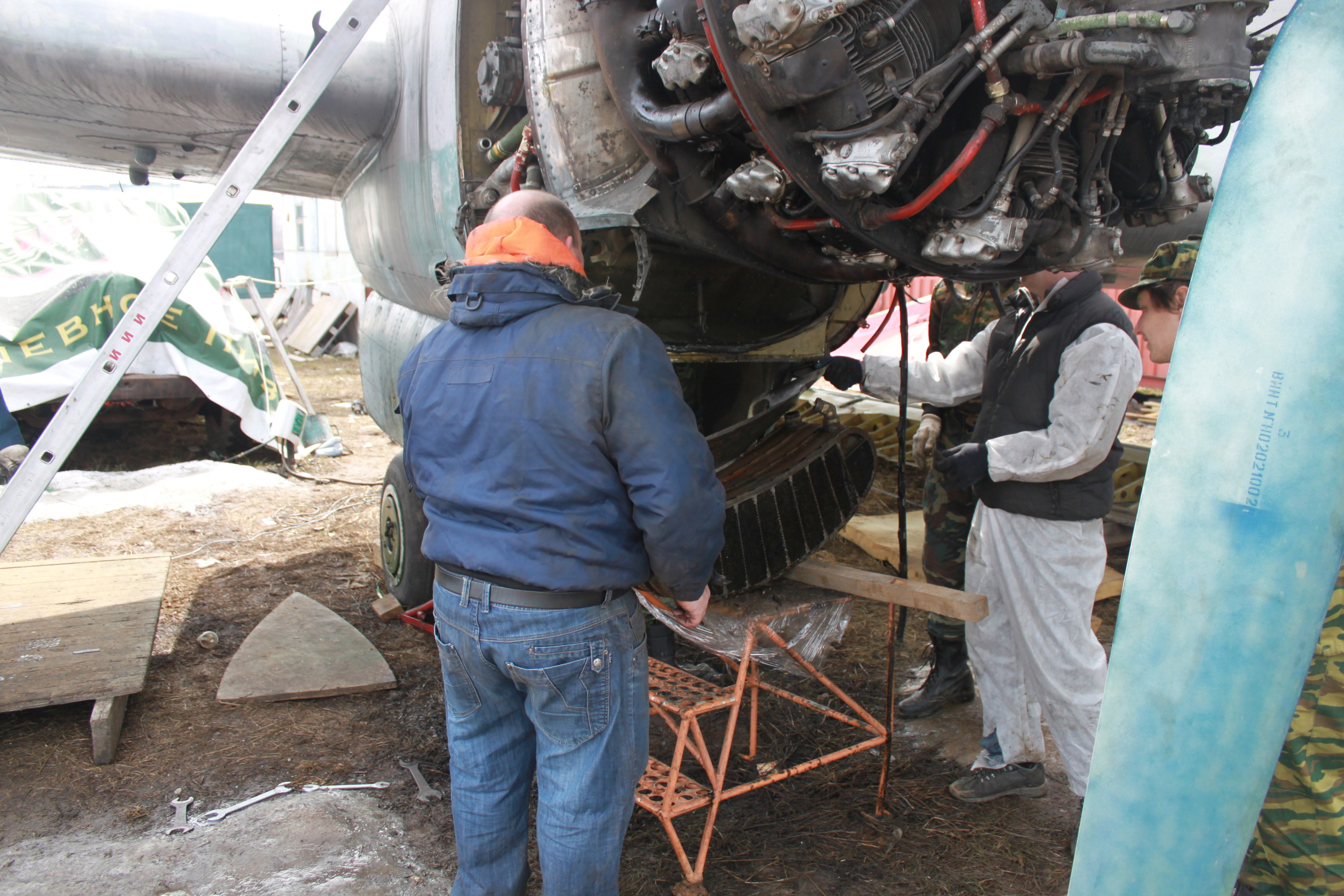 Ил-14Т «Голубая Мечта» работы в Тушино (2011 г.). Фотоальбом показывающий увлекательный мир авиации и мир медведей Андрея Иванова