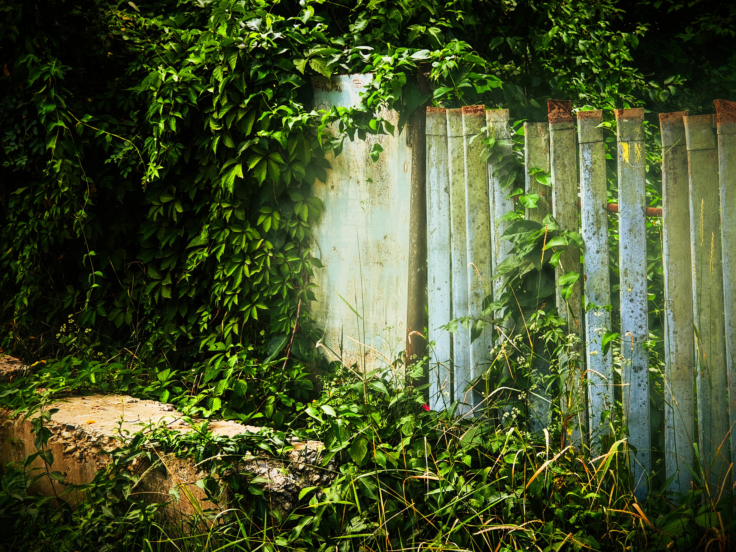 Пейзажи и уличная съёмка