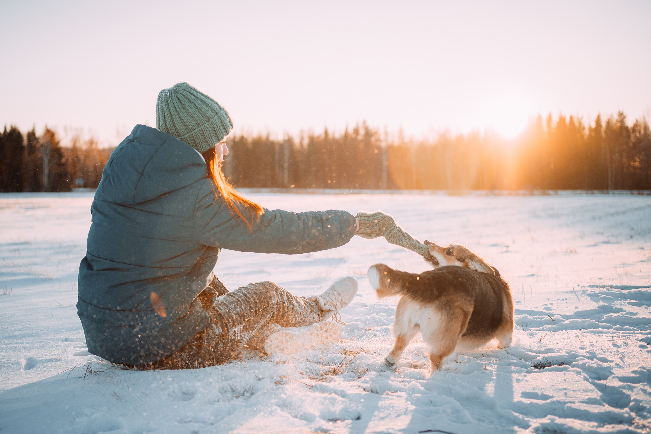 Виктория и Виски. Фотограф-анималист Анастасия Большакова
