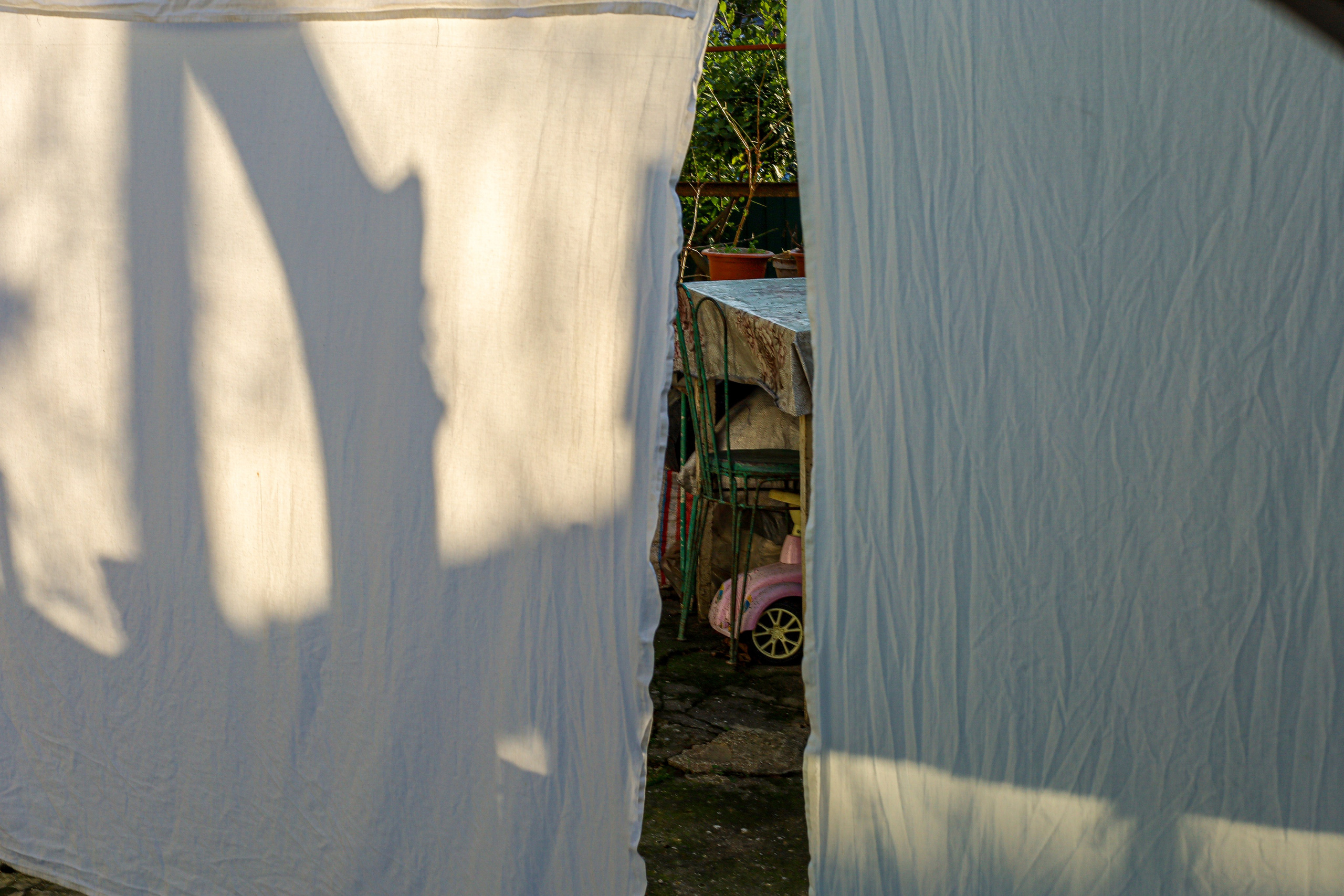 Природа &. Фотохудожник в СПб