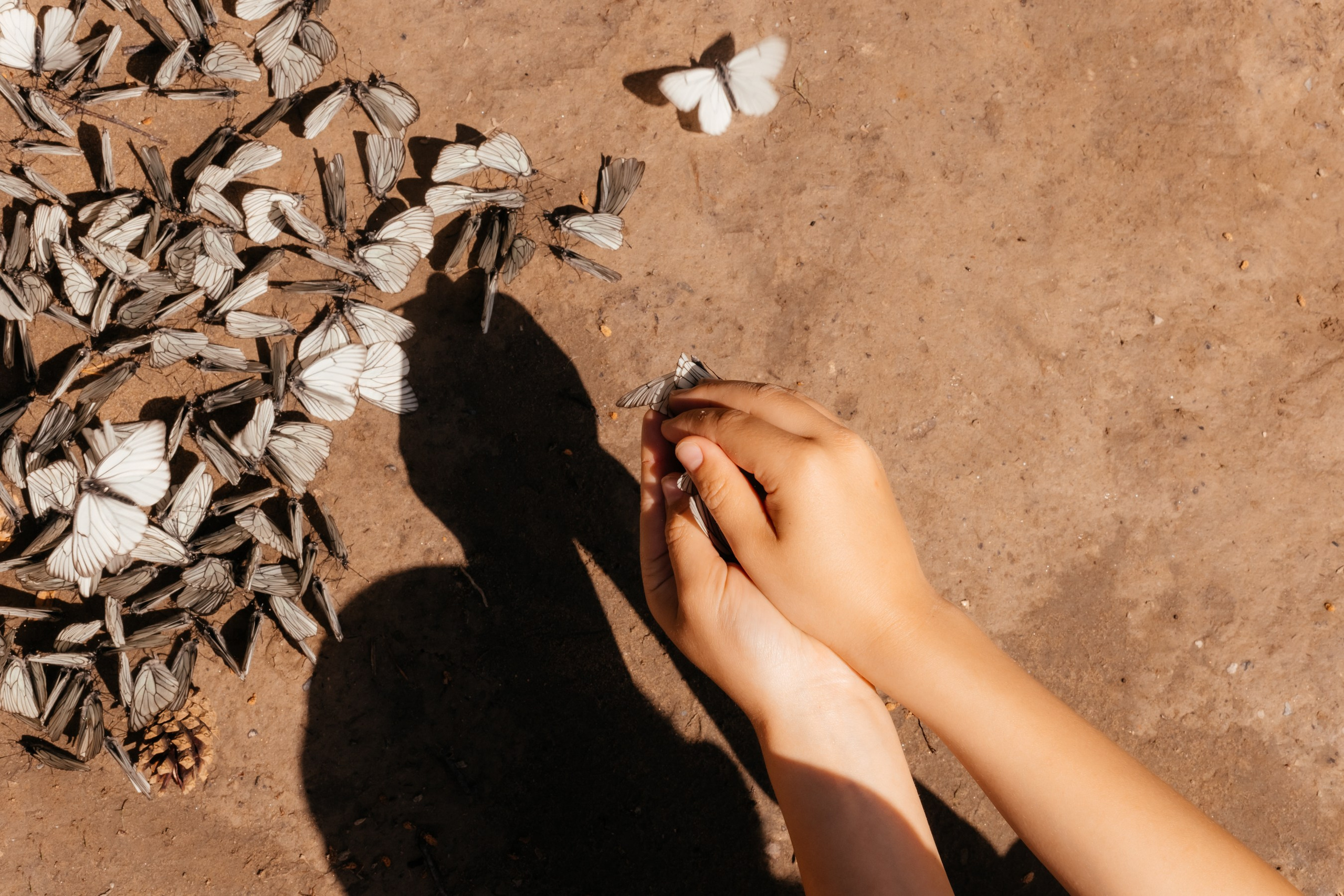 Сны о детстве. Фотограф в Красноярске Оксана Корчагина