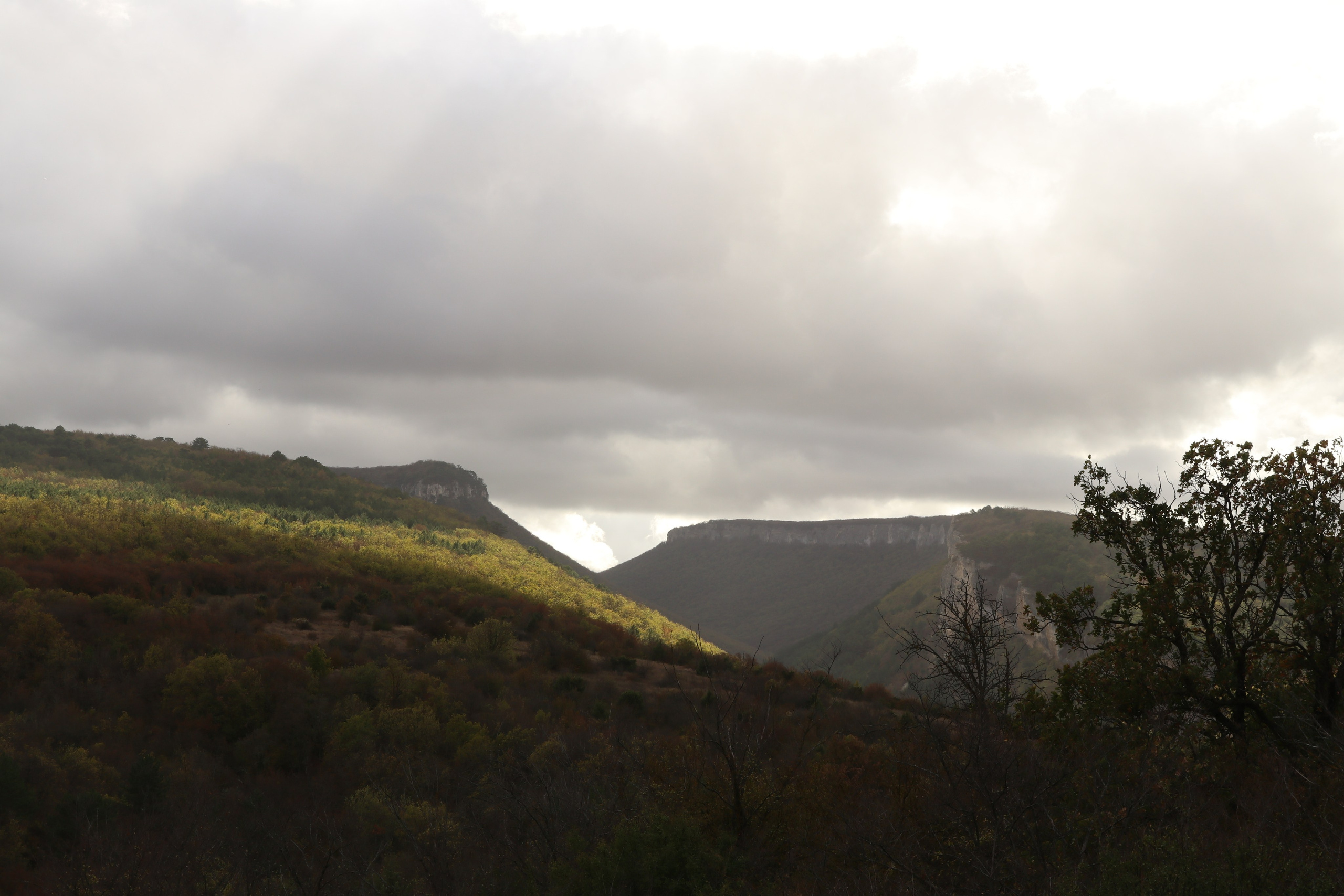 Крым. ЮБК (Гурзуф, Судак и их окрестности). Ноябрь 2023. Путешественник-фотограф из Санкт-Петербурга Татьяна Свистулина