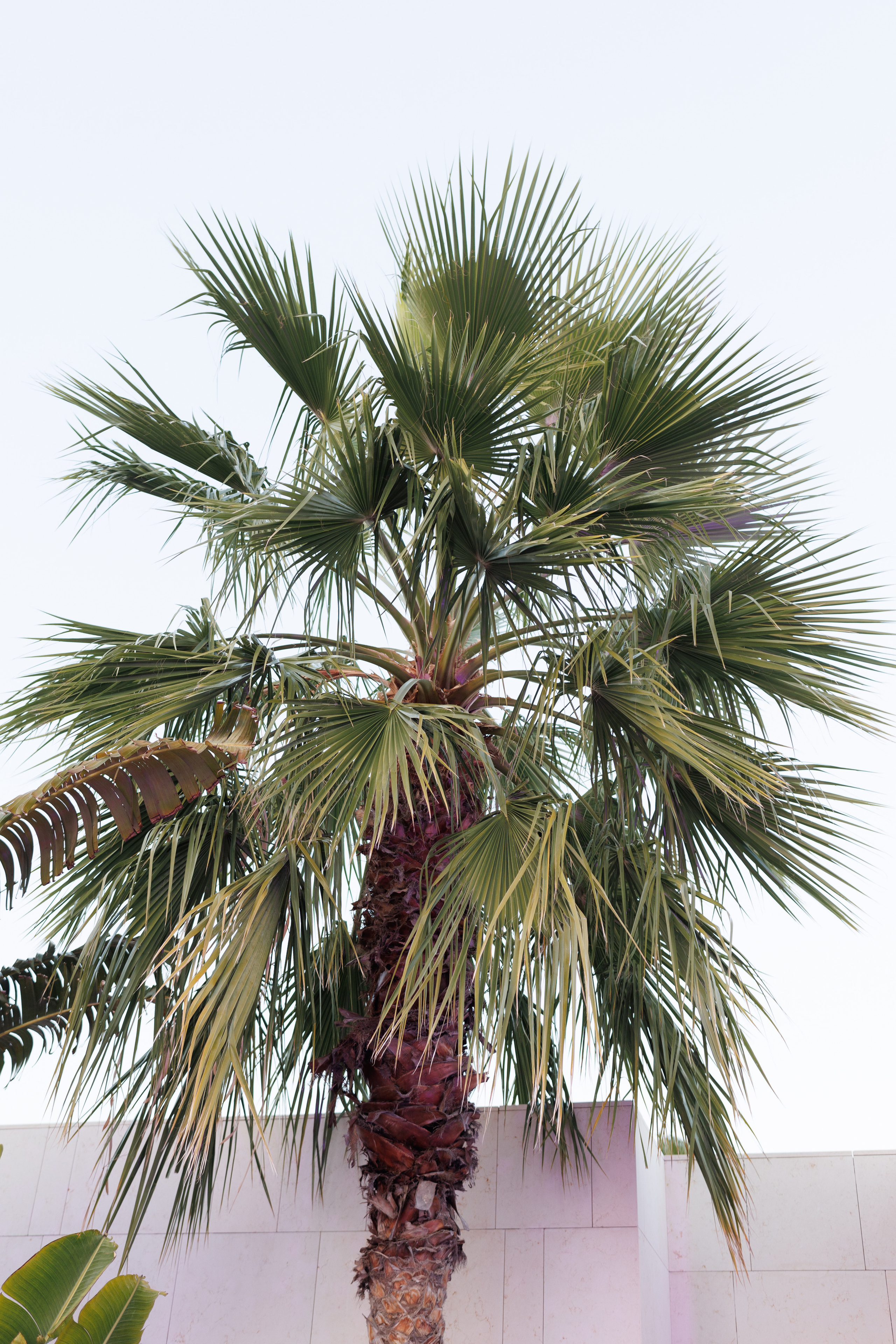 Event Photographer & Videographer in Dubai | Фотограф и видеограф в Дубае. Just production