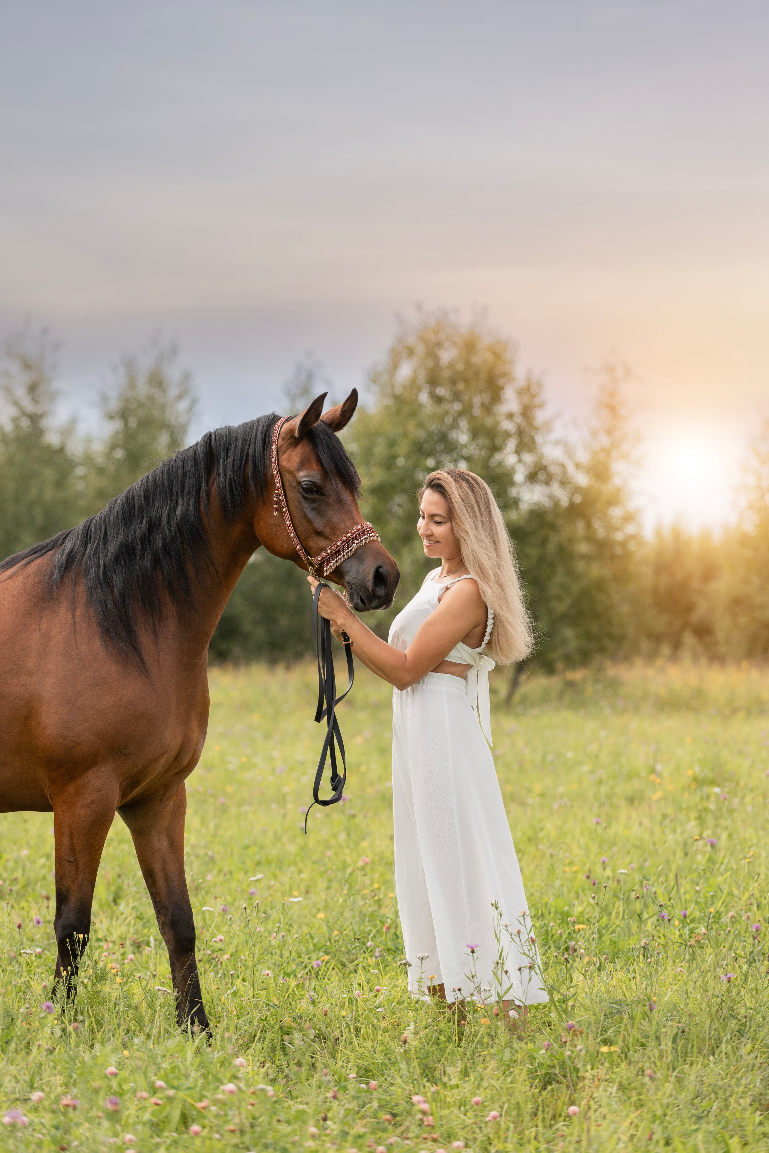 Фотосъёмка лошадей. Семейный и анималист фотограф в Переславле Анастасия Гусева