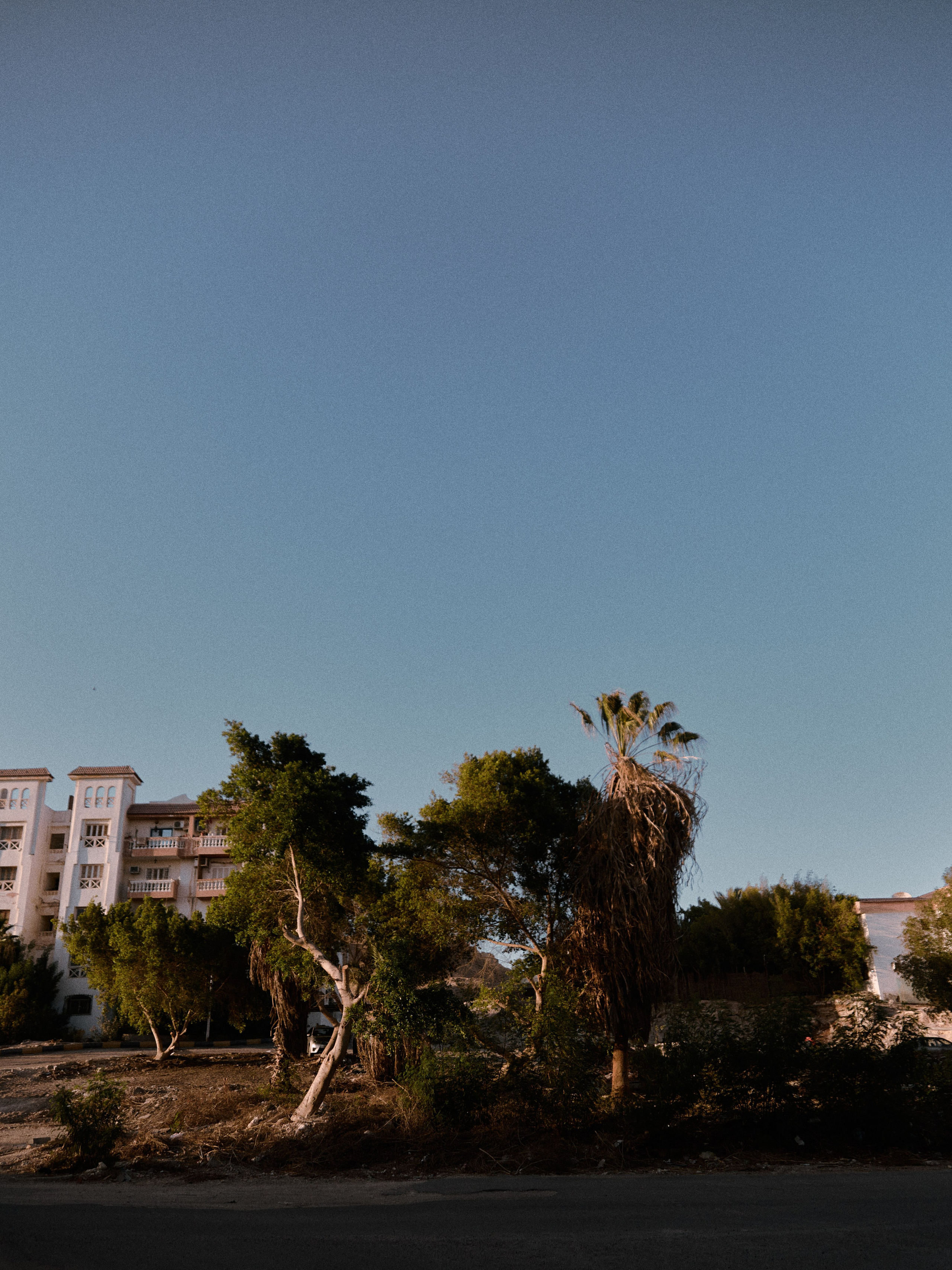 Другое 2. Jorgis Talè — photographer, kind person, teacher of arts and other mag