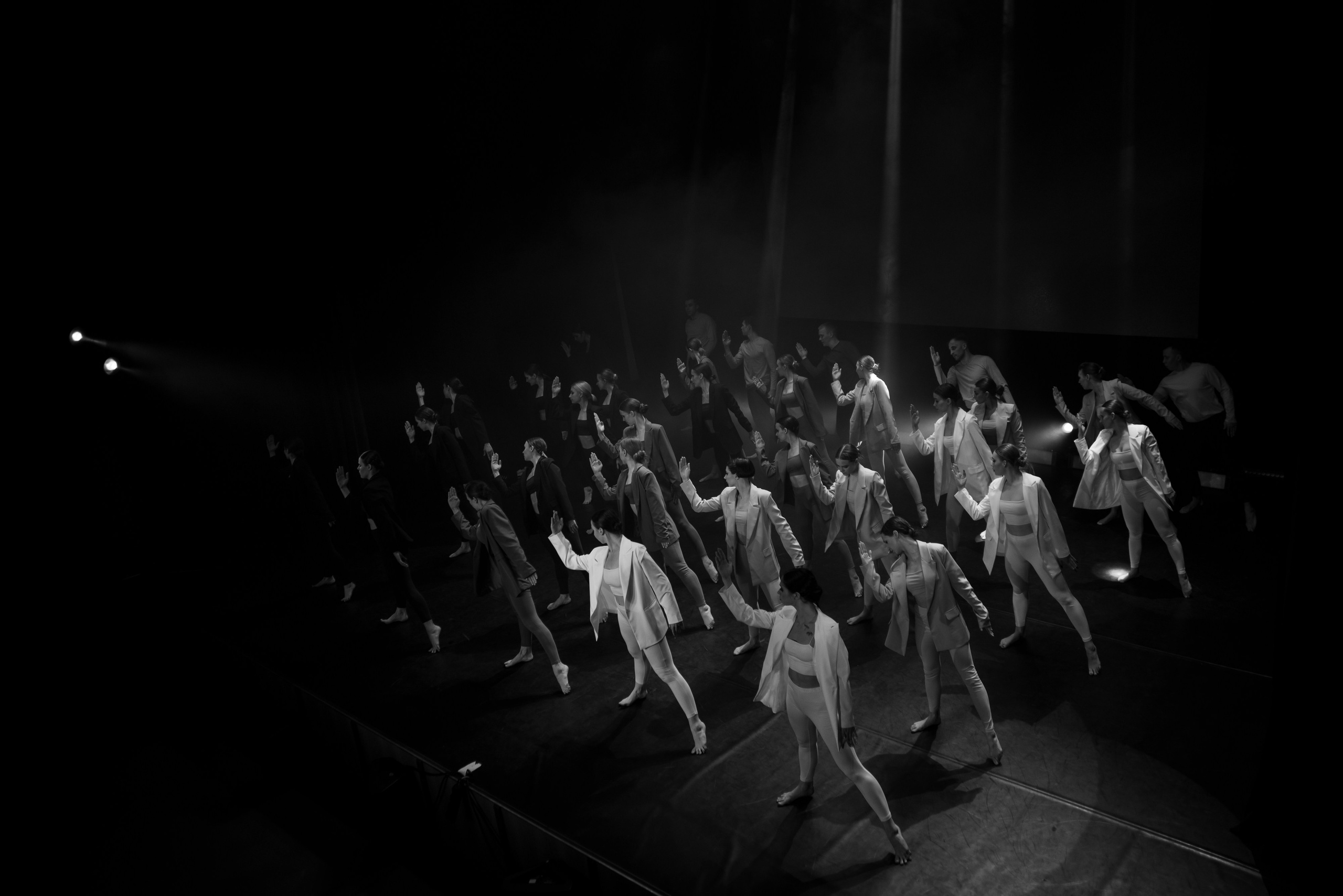 Фламинго | VNЕфокуса