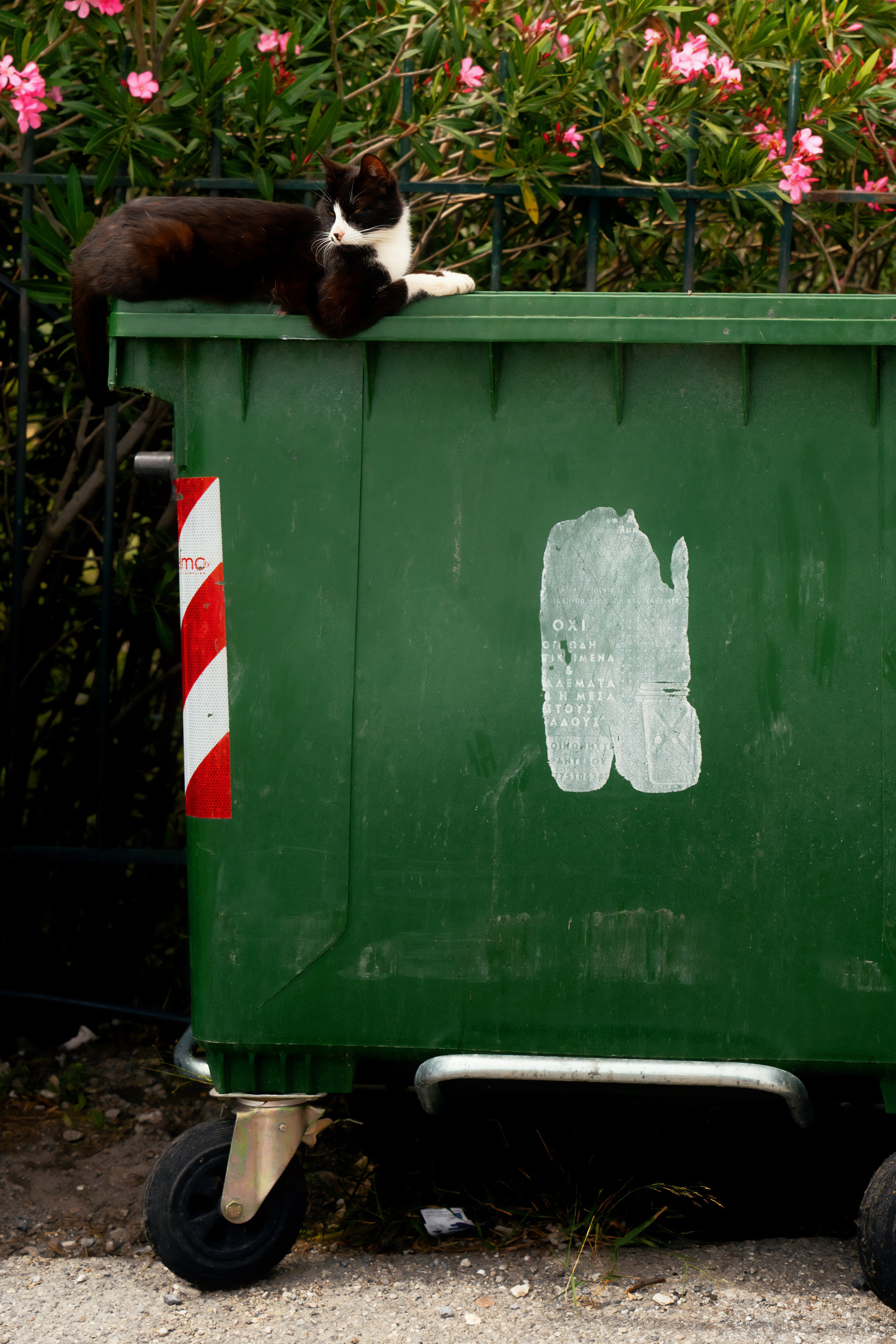 Турция, Греция, Иордания. Фотограф в Хабаровске. Фотография за 24 часа