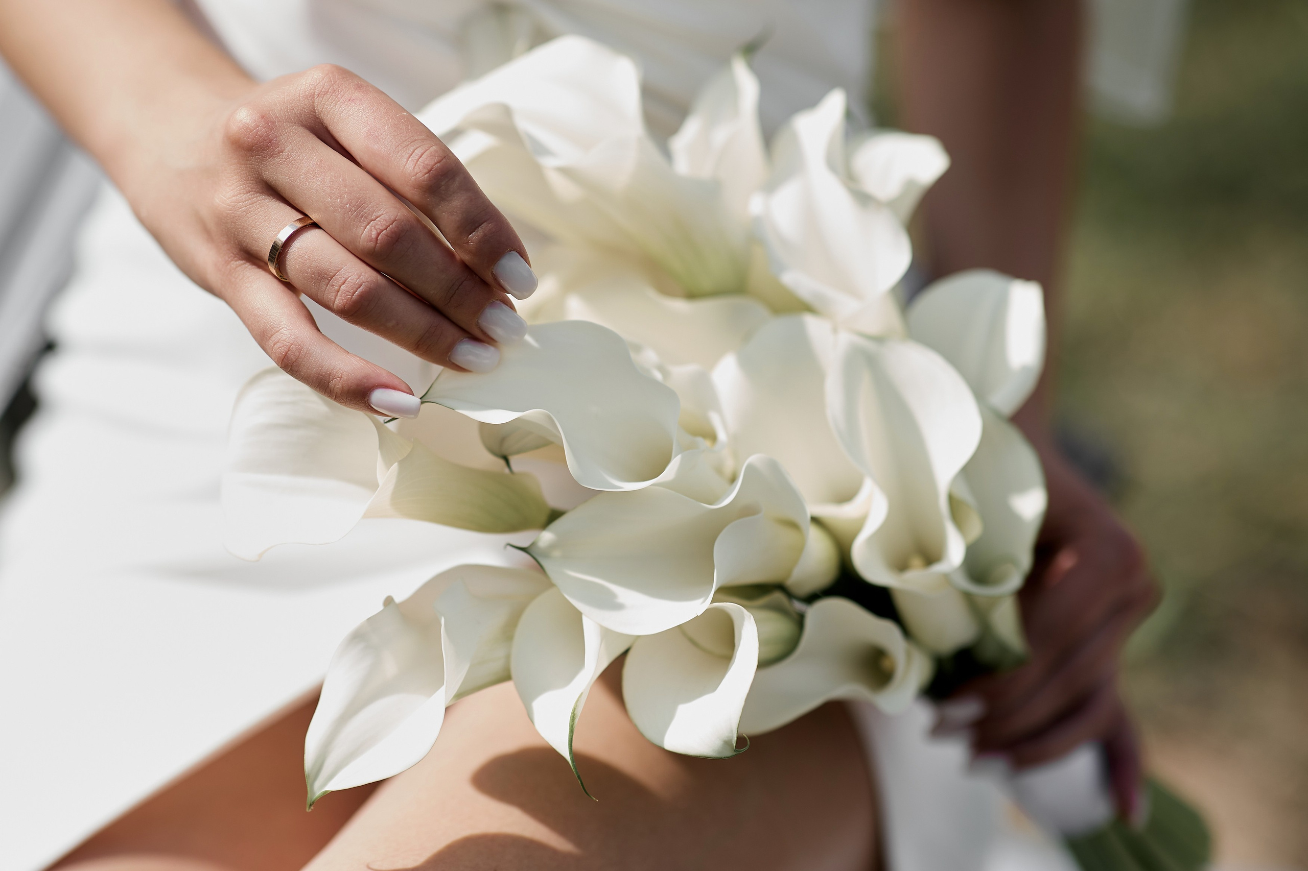 Алина и Владимир. Свадебный фотограф Москва Калуга