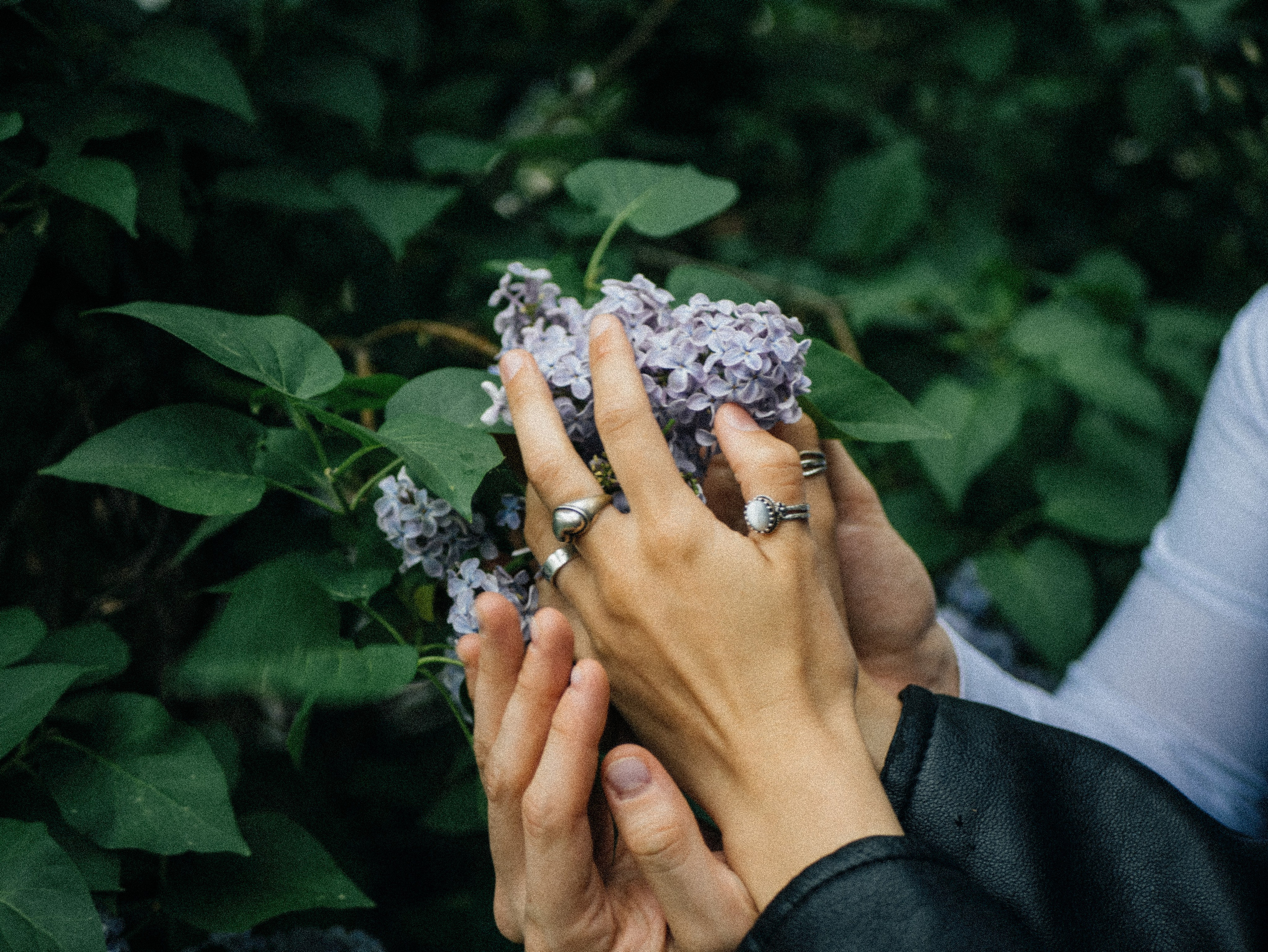 Асим и Леся. Фотограф Нэля Хаматова