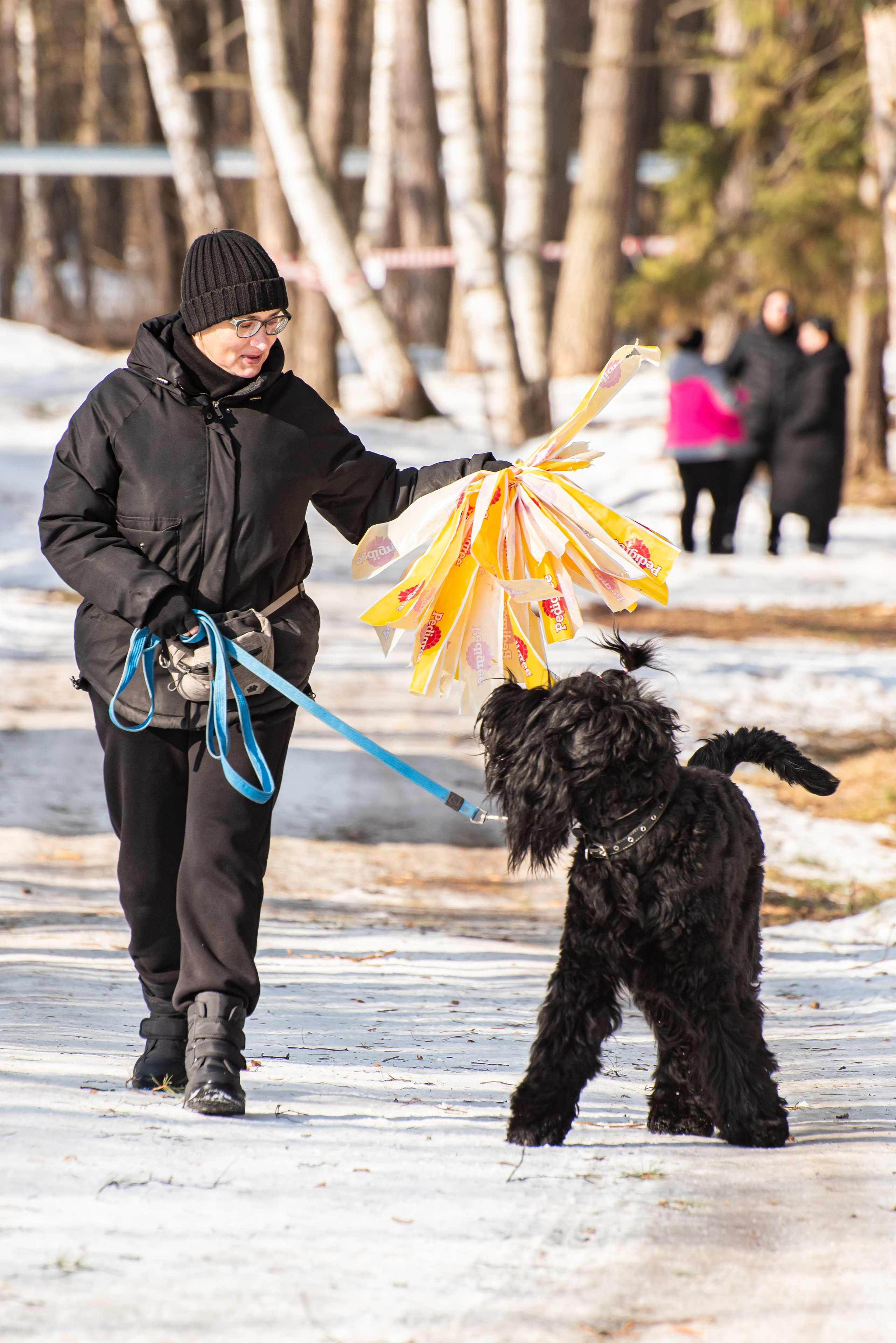 Фотосъёмка с собаками в Кинологическом лагере. Фотограф Макс Огурцов в Нижнем Новгороде