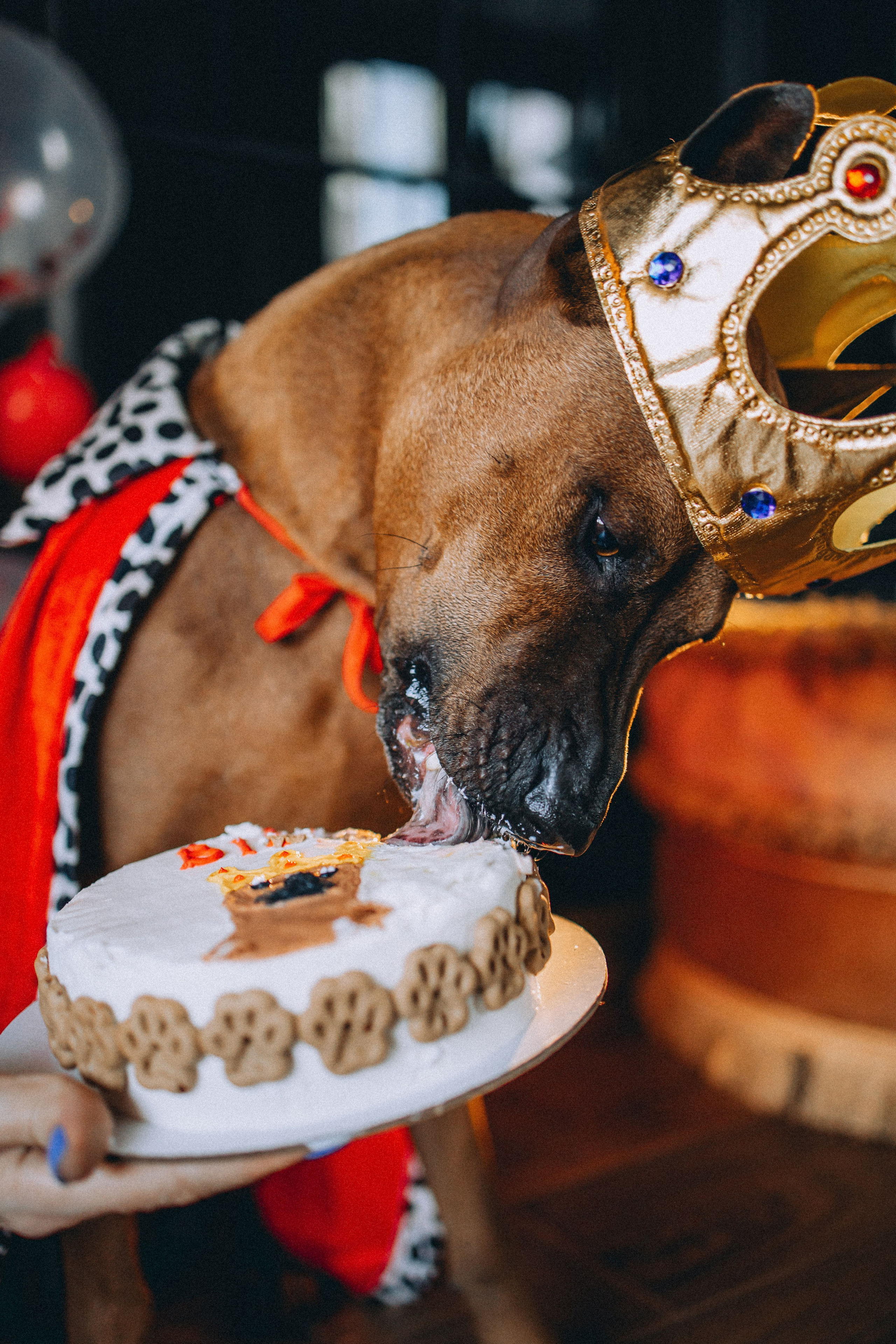 Оксана и Зевс