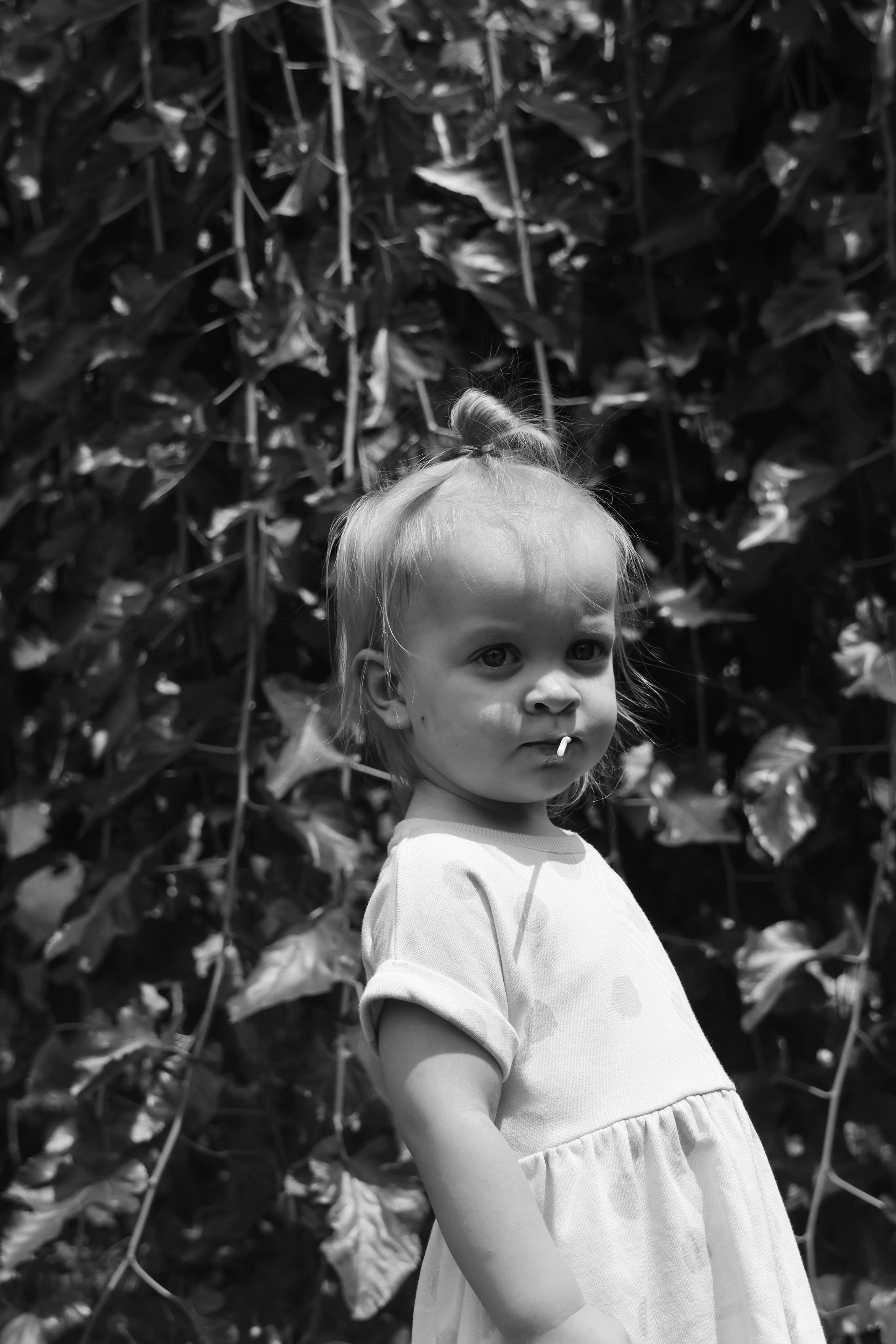 Семейные съемки. Фотограф в Белграде