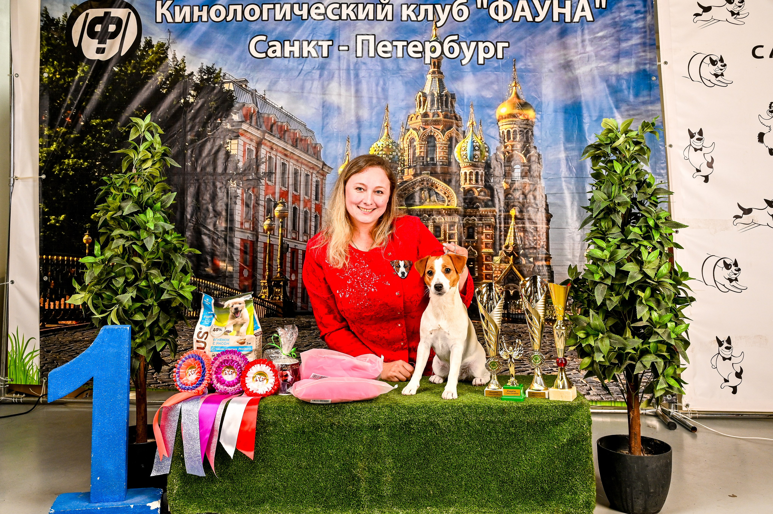 Выставка Клубы «Фауна» и «Догсити» 21-22 Июня 2025 «Пёсбург». Фотограф-анималист в СПб