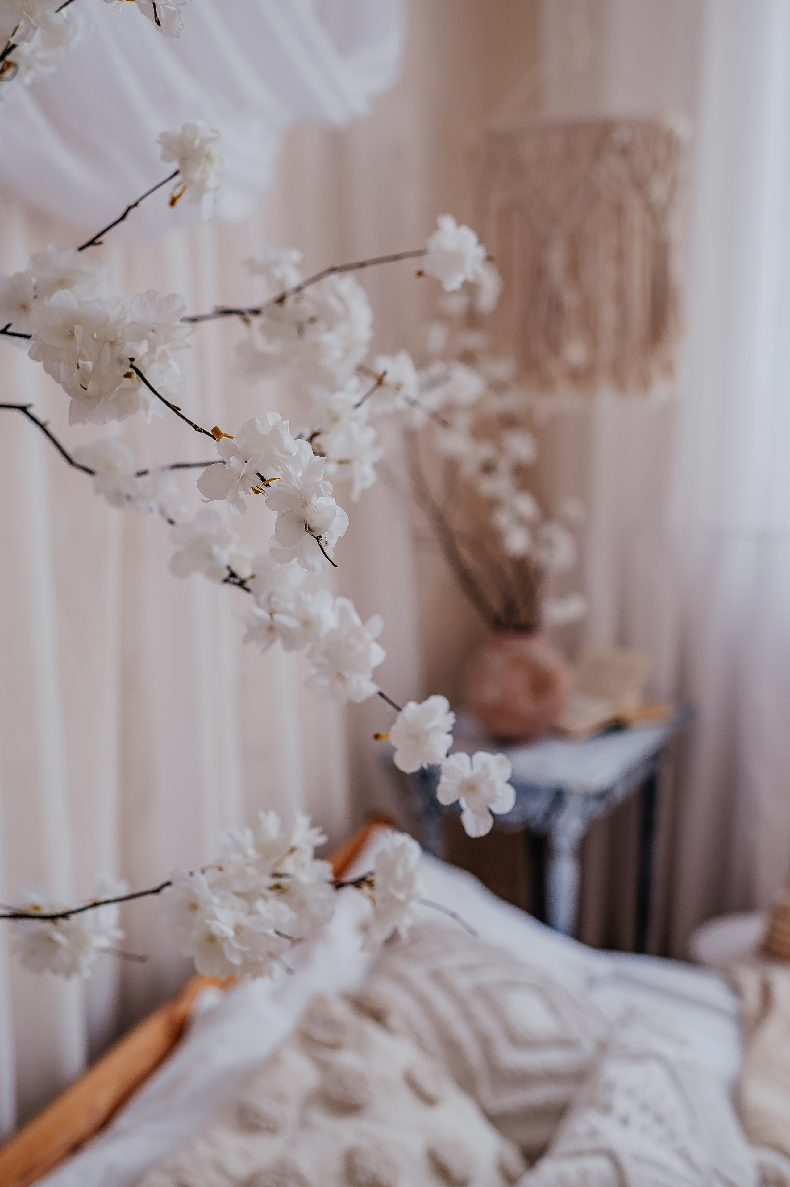 Интерьер фотостудии. Фотограф новорожденных, семейный и детский фотограф в Барнауле — Петрова Евгения