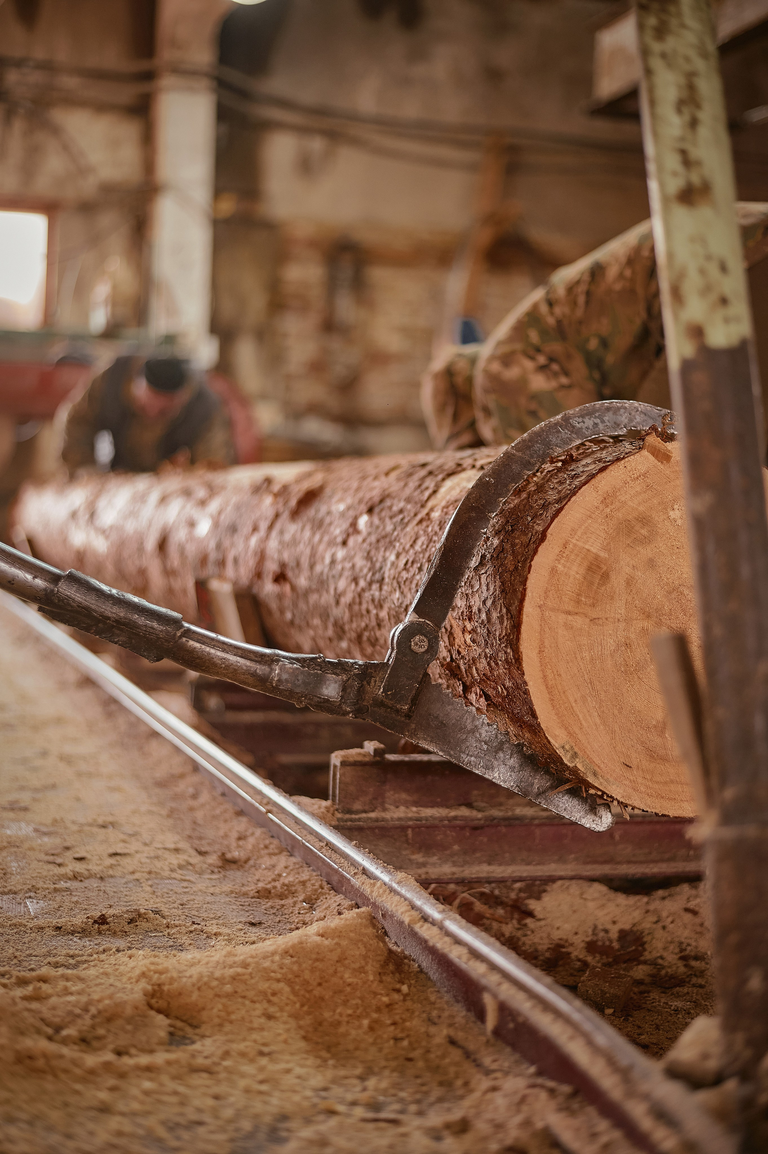 Лесозаготовка г. Мотыгино. Фотограф Яковлев Роман — Красноярск