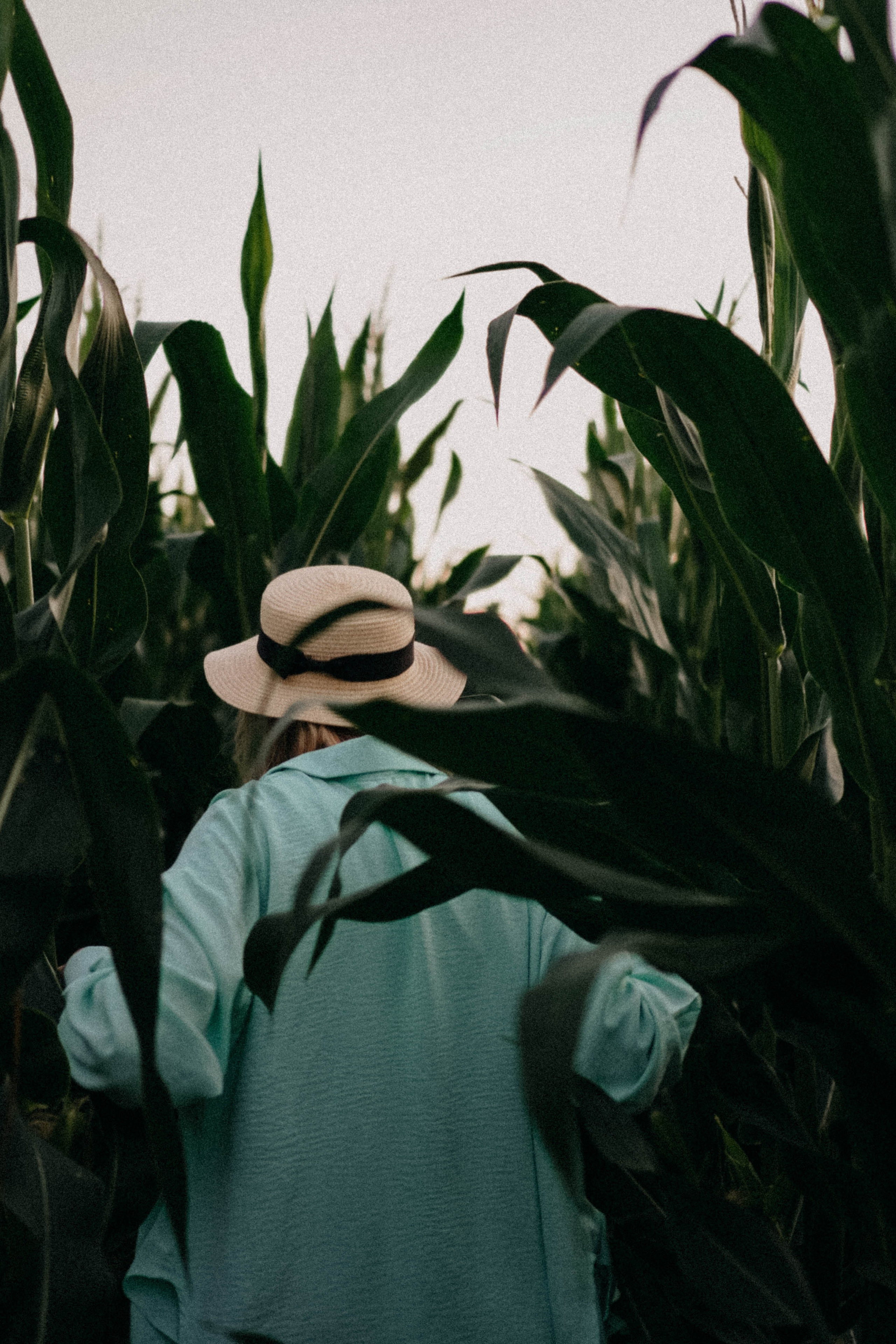 Летний вечер. Профессиональный фотограф, Санкт-Петербург — Виктория Богомолова