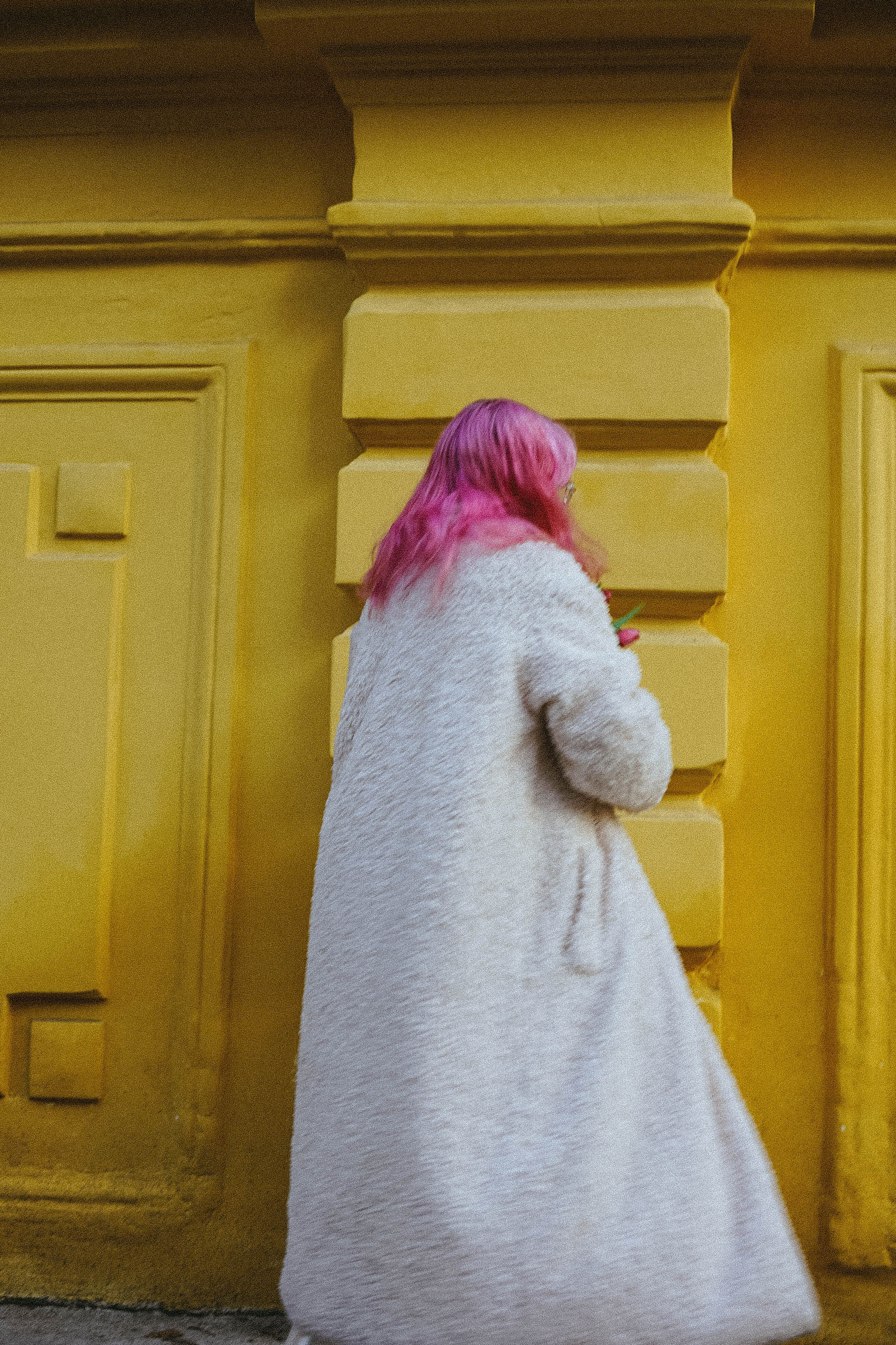 Тюльпаны. Профессиональный фотограф, Санкт-Петербург — Виктория Богомолова