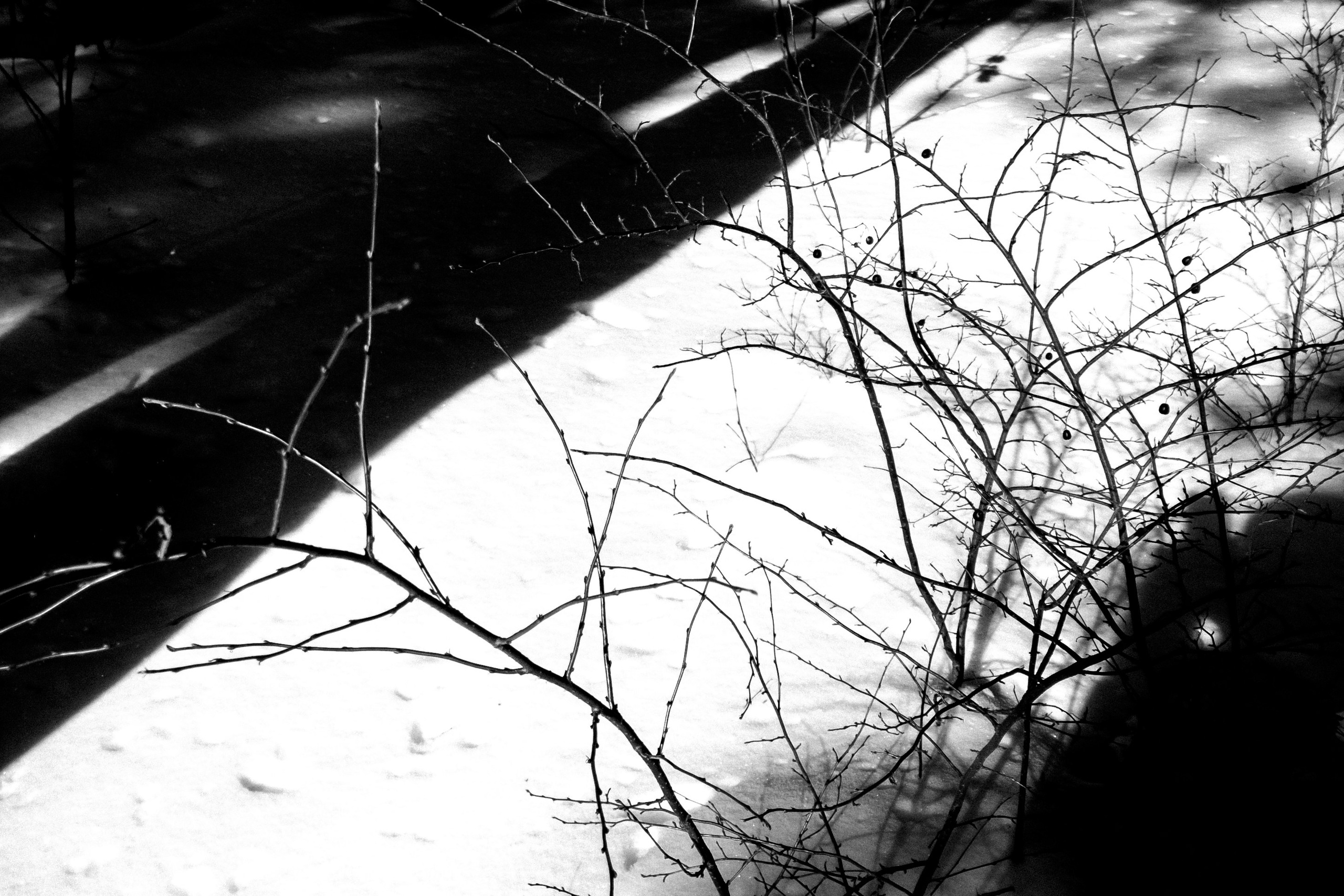 Фоточеллендж «30 дней — 30 фото». Олег Романов. Мастер фото по спорту