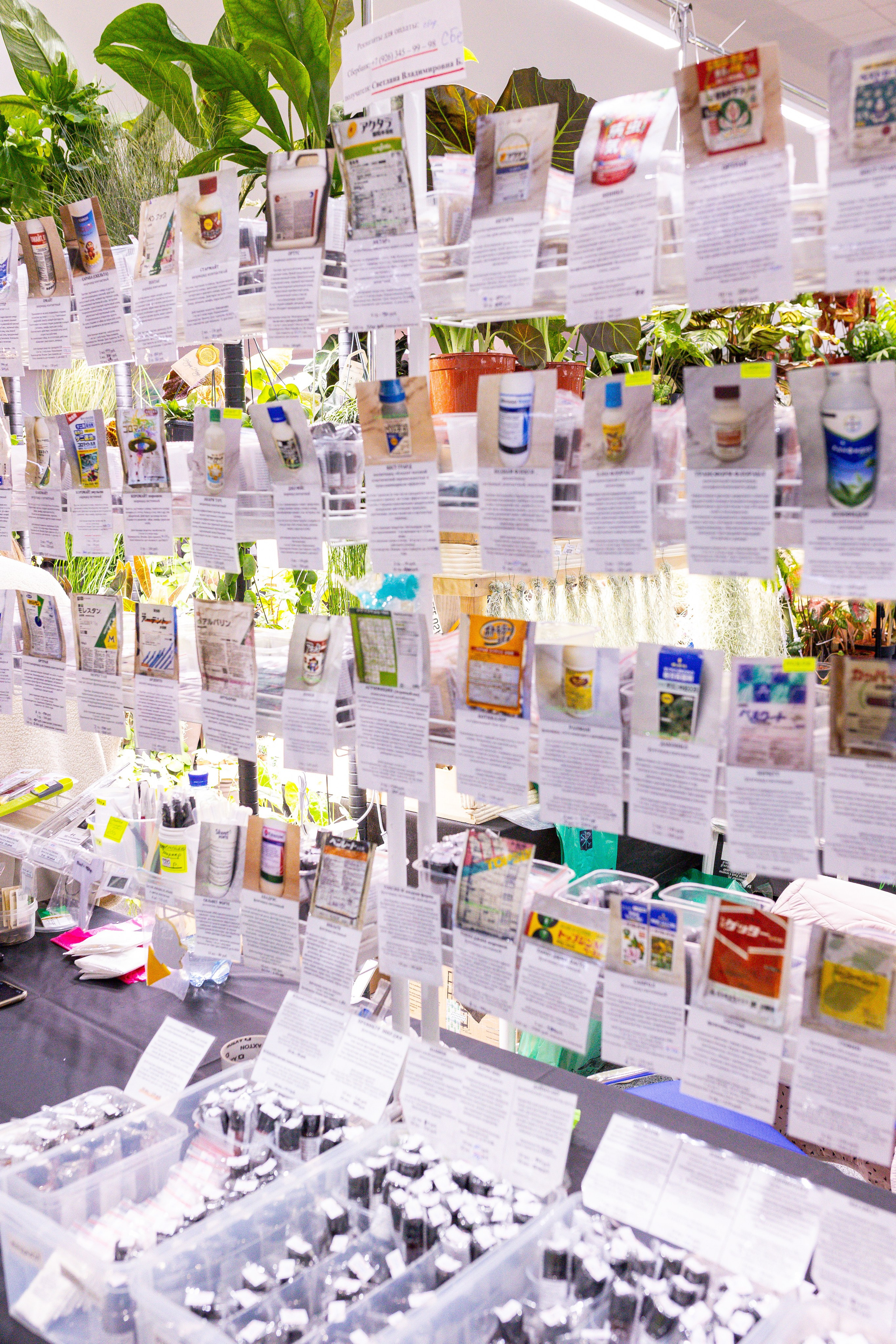 Монстериум 11–12 октября. Александра Куликова фотограф, Москва