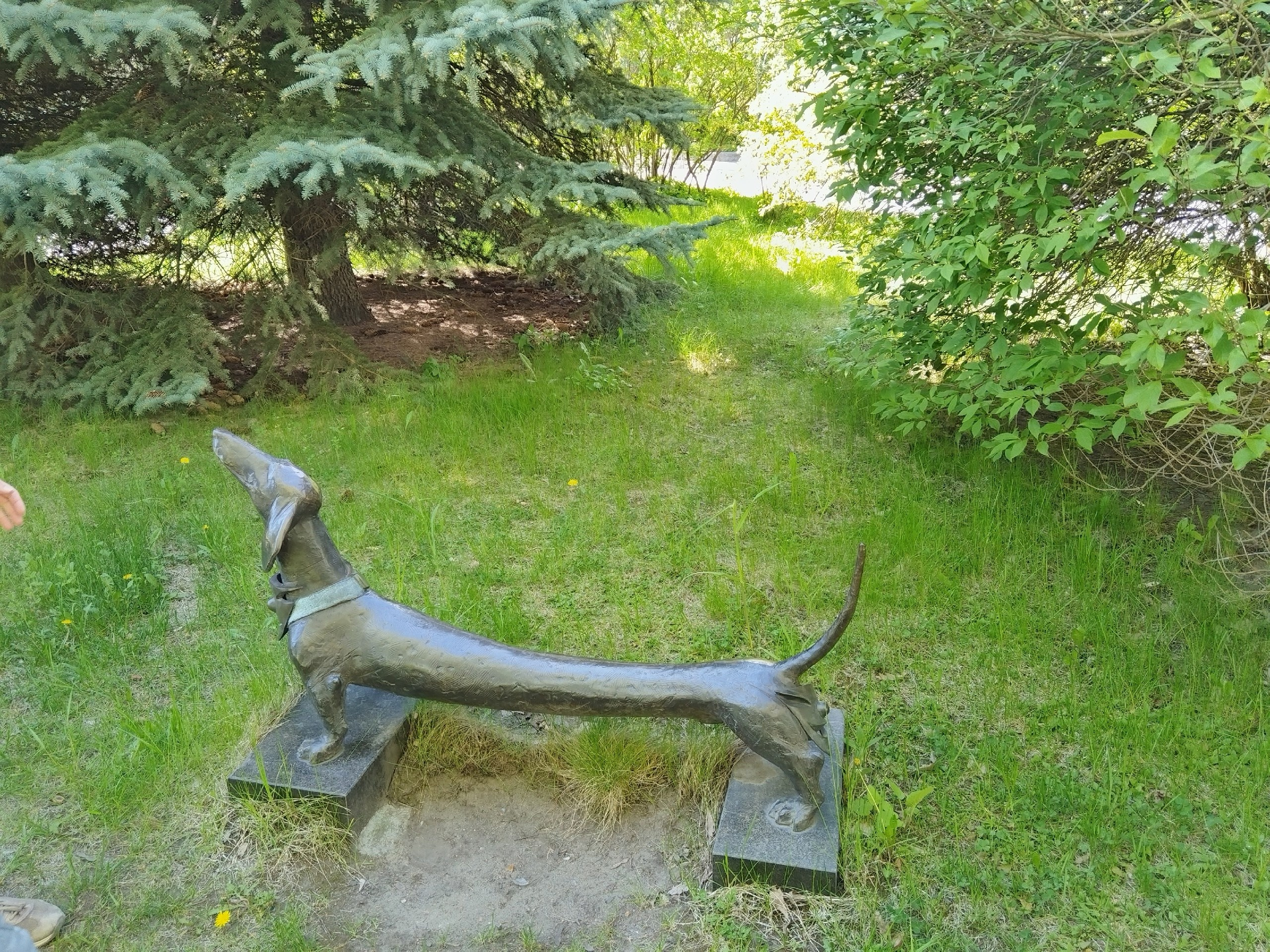 Экскурсия «Остров просвещения» (12.07.25). Автор: Марина Чумакова