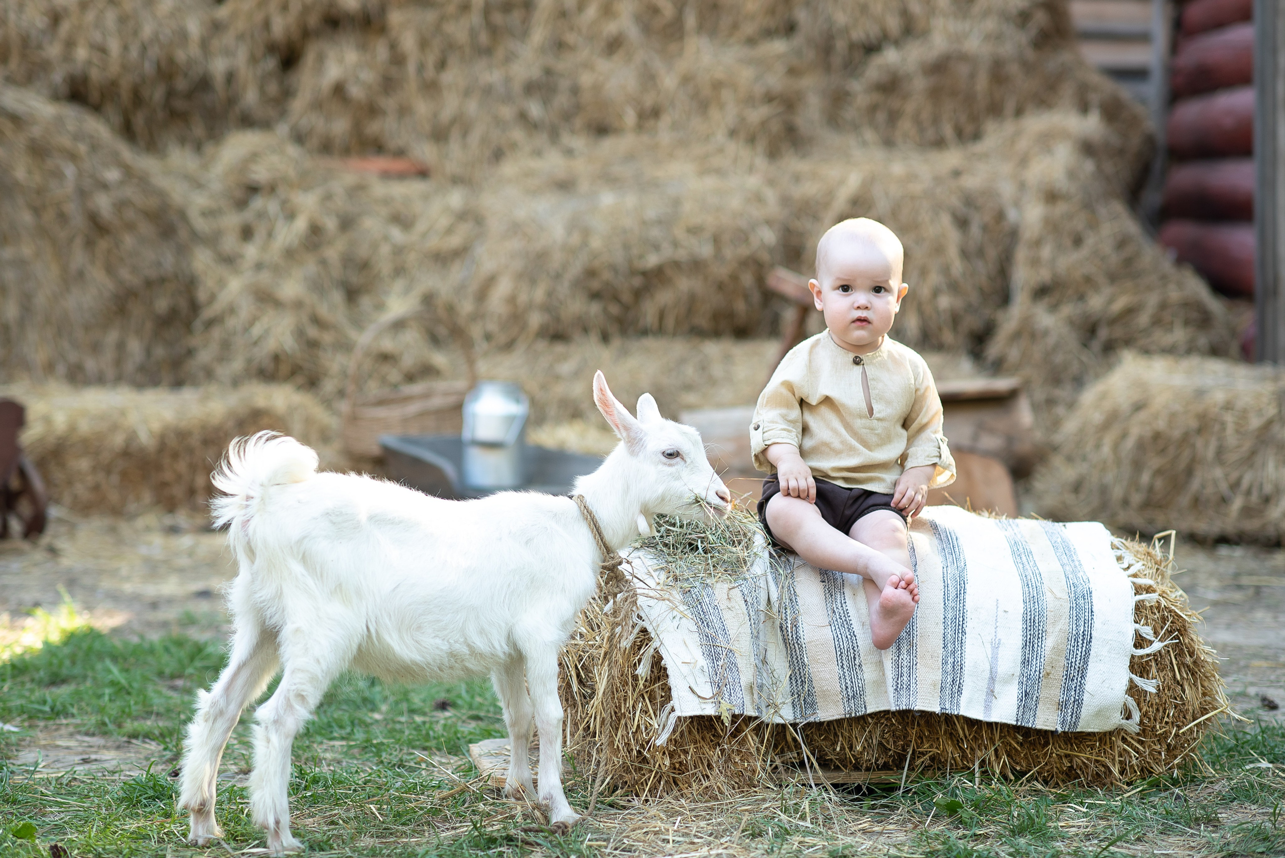 Фотостудия Лес Чудес. Фотограф Мария Усманова, Казань