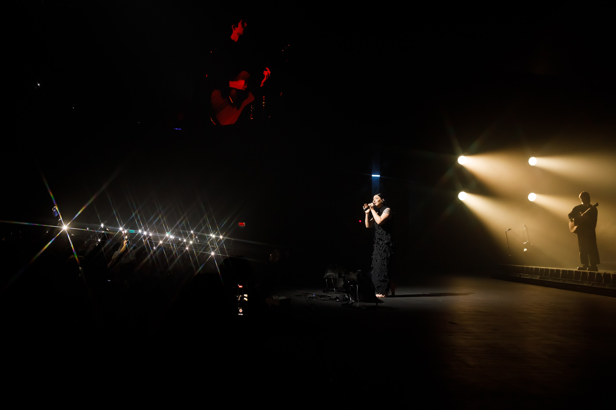 ЕЛКА (кз"Москва»). Катерина Киреева — фотограф в Москве