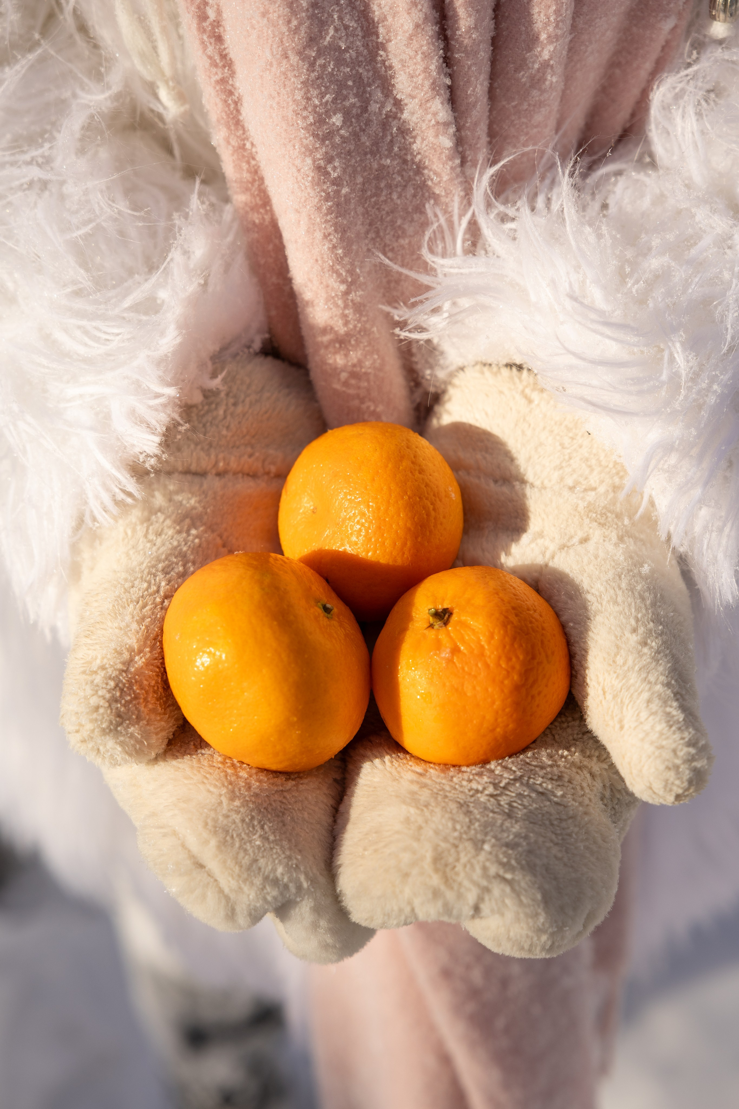 Ксения. Фотограф Новосибирск, Академгородок — Айна