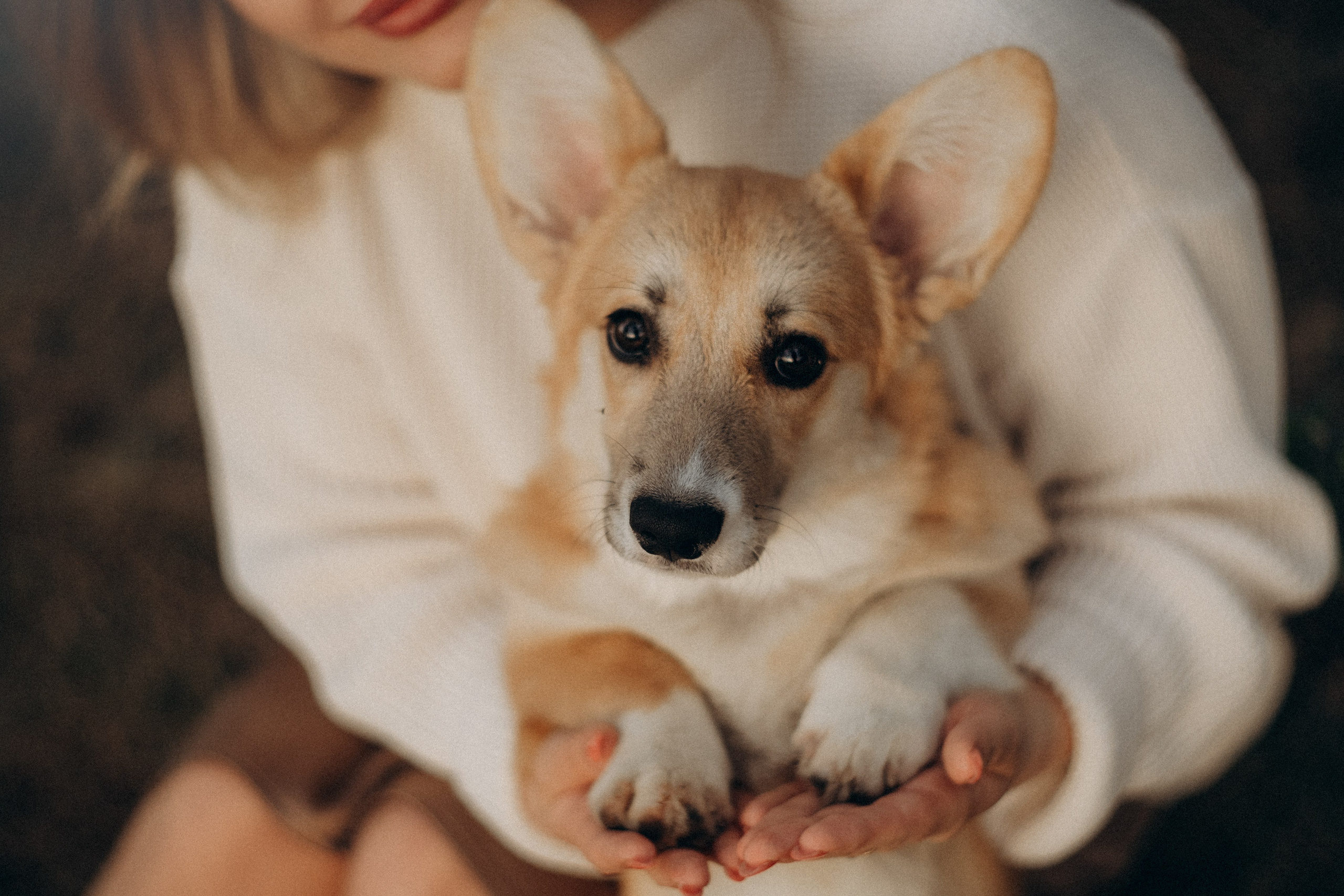 Катя и Берта. Фотограф анималист в Москве и Санкт-Петербурге Свиридова Анна