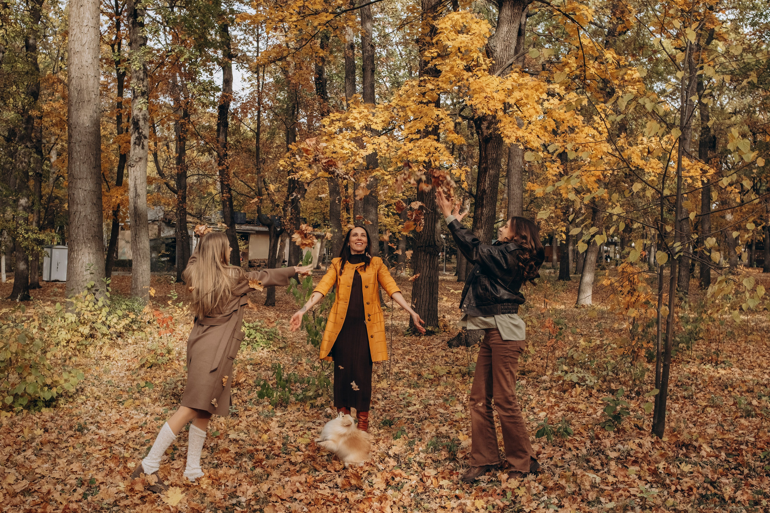 Загородный парк, осень. СЕМЕЙНЫЙ ФОТОГРАФ ЕЛЕНА МЕДВЕДЕВА САМАРА