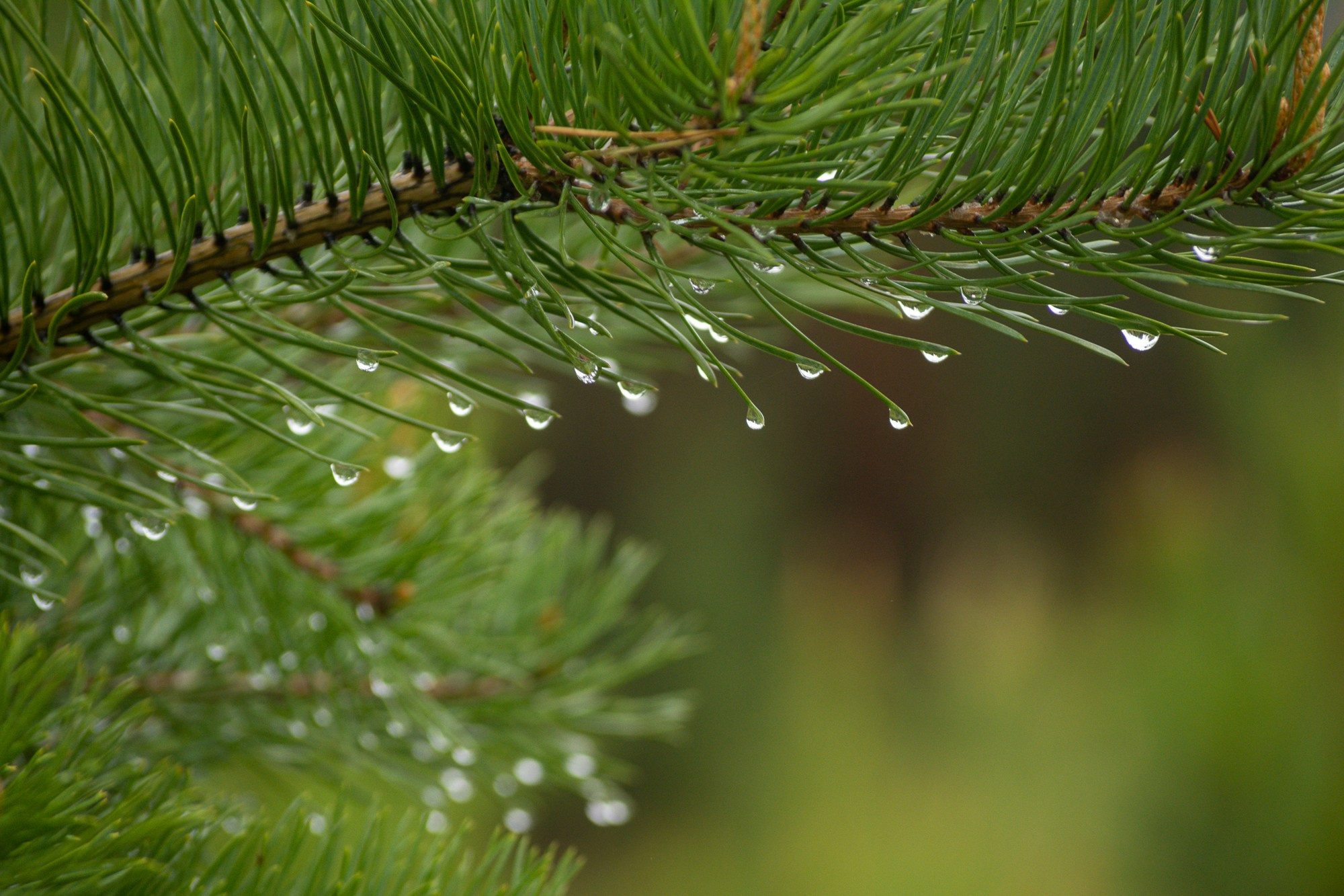 Разное. Репортажный фотограф г. Чита