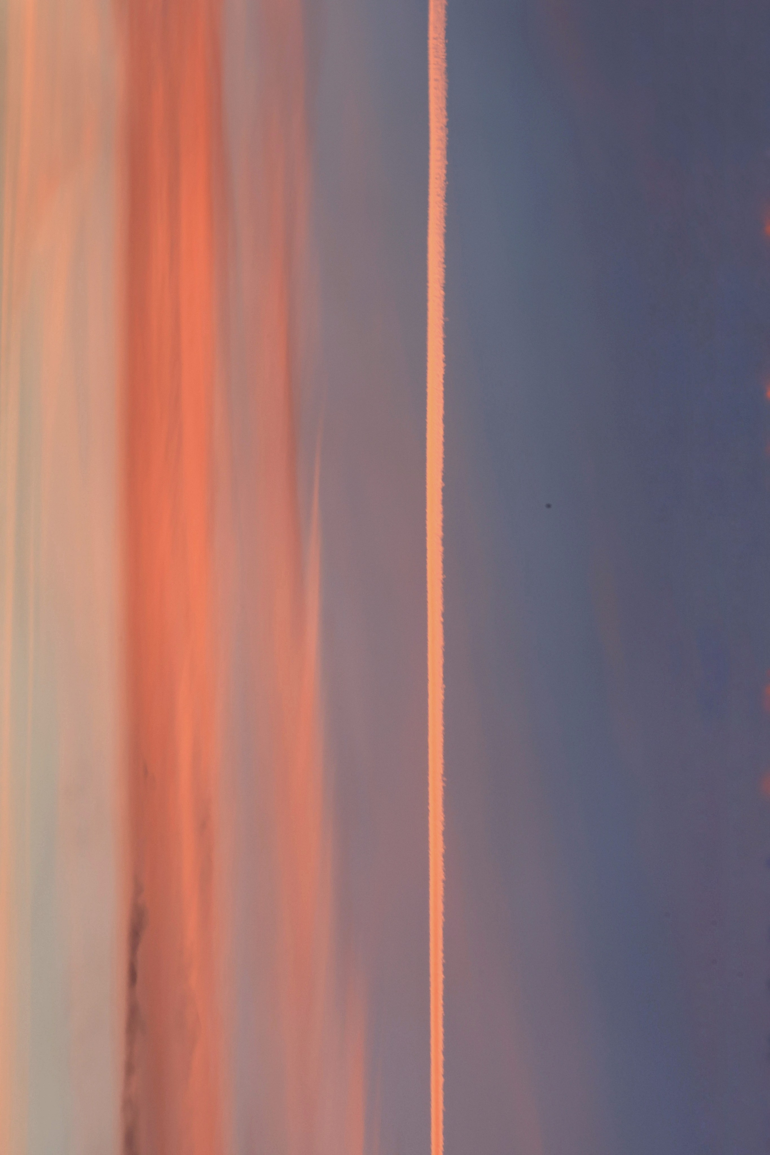 2025 год. Тащилин Сергей. Фотографии. Жизнь. Хобби