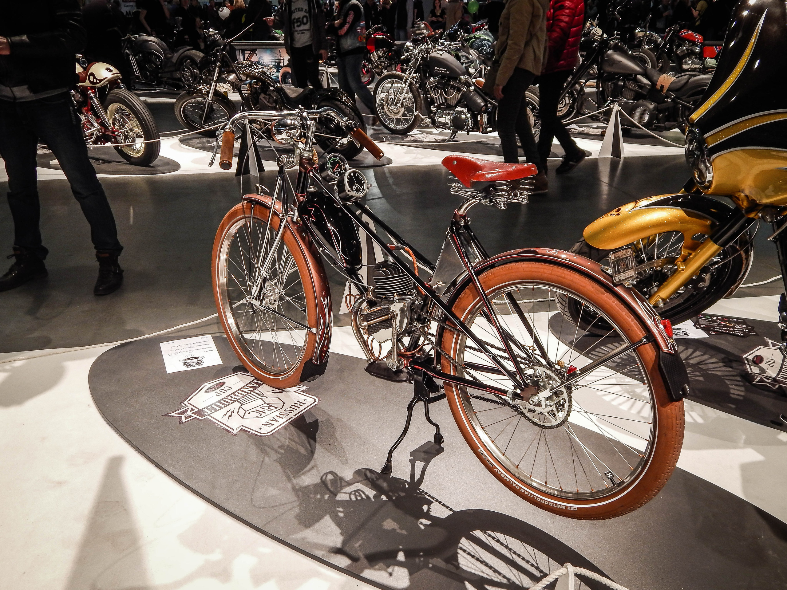 IMIS 2019. Александр Попов