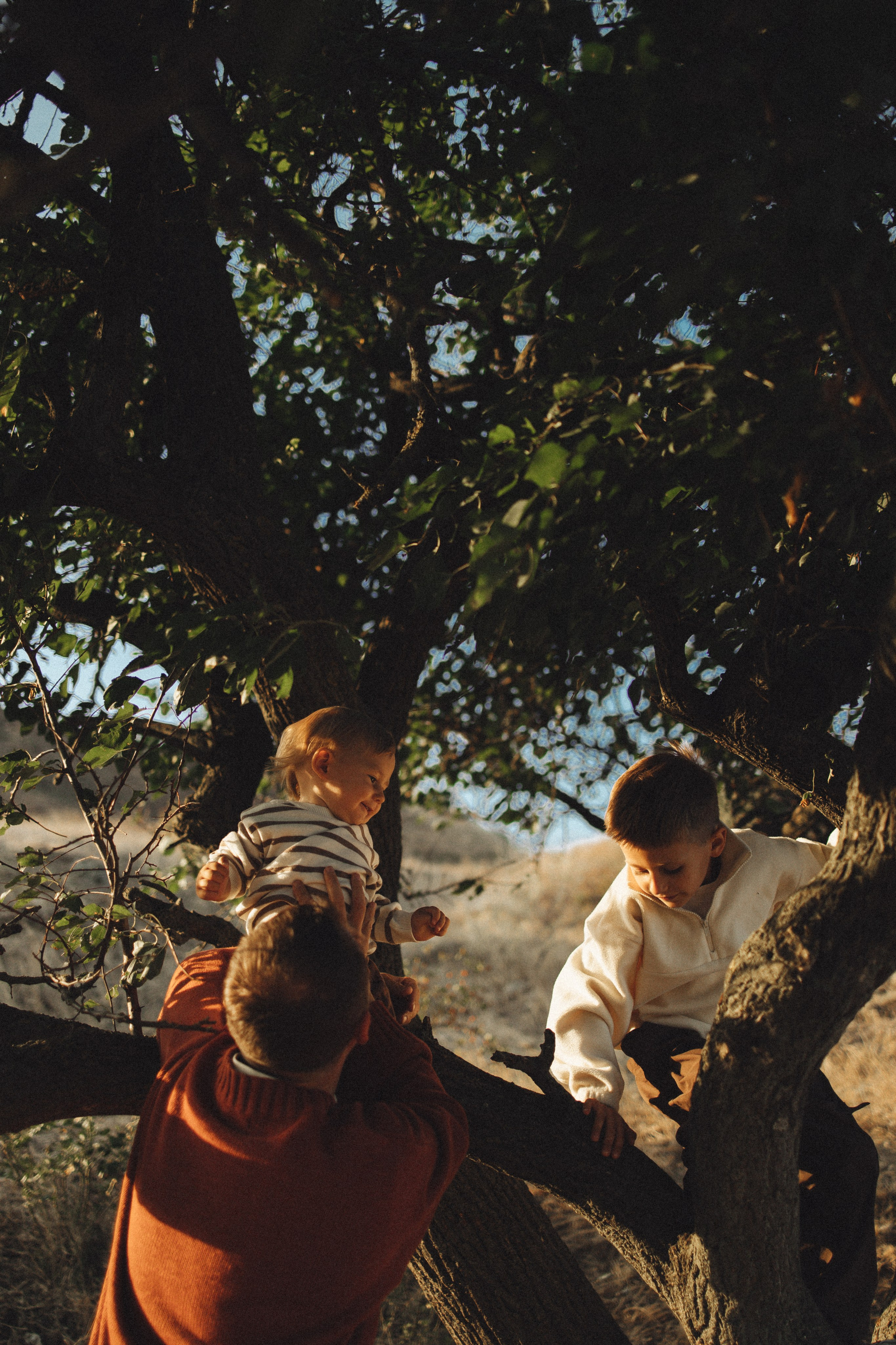 Семейная история, закат в Мержаново. Семейный и детский фотограф, таганрог, ростов-на-дону