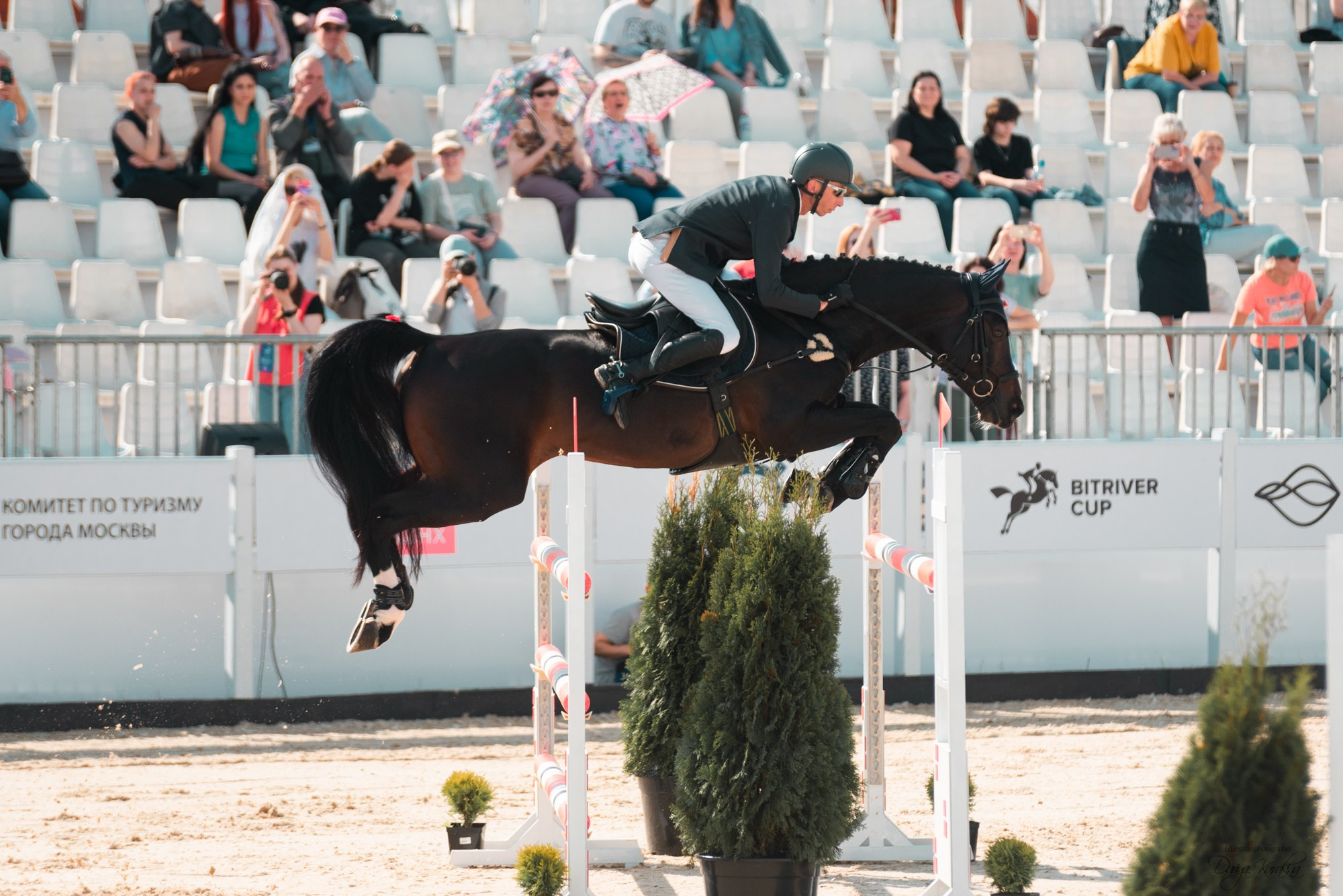 BITRIVER CUP 2023. Конный фотограф Куракина Дарья • Фотосессии с лошадьми