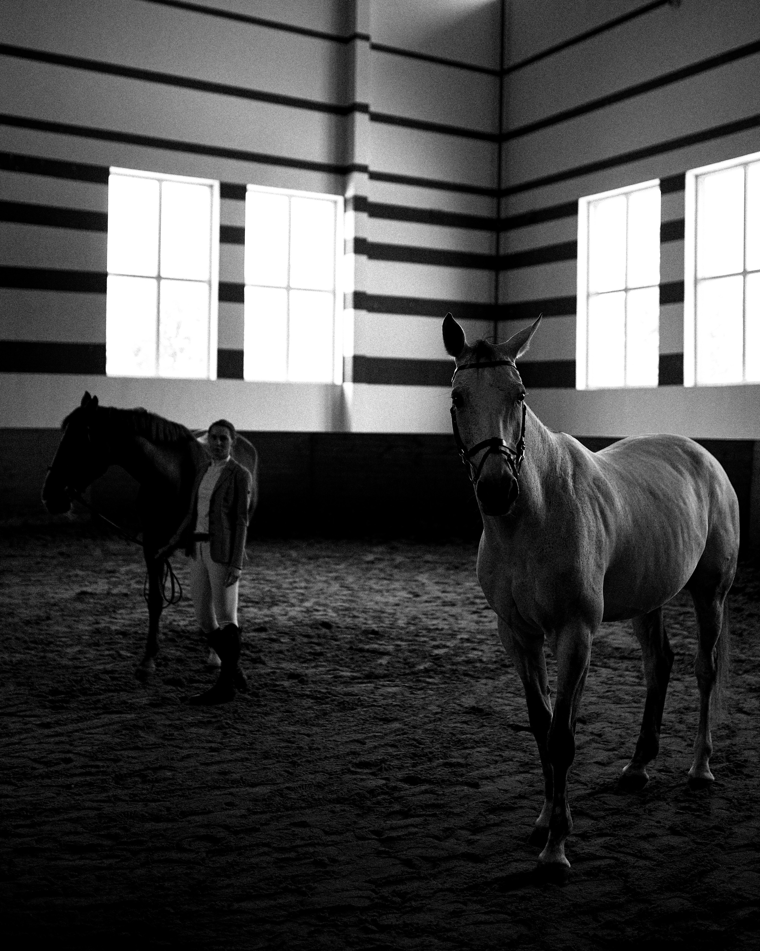 Женский портрет. Фотосессии с лошадьми в Москве, Новосибирске