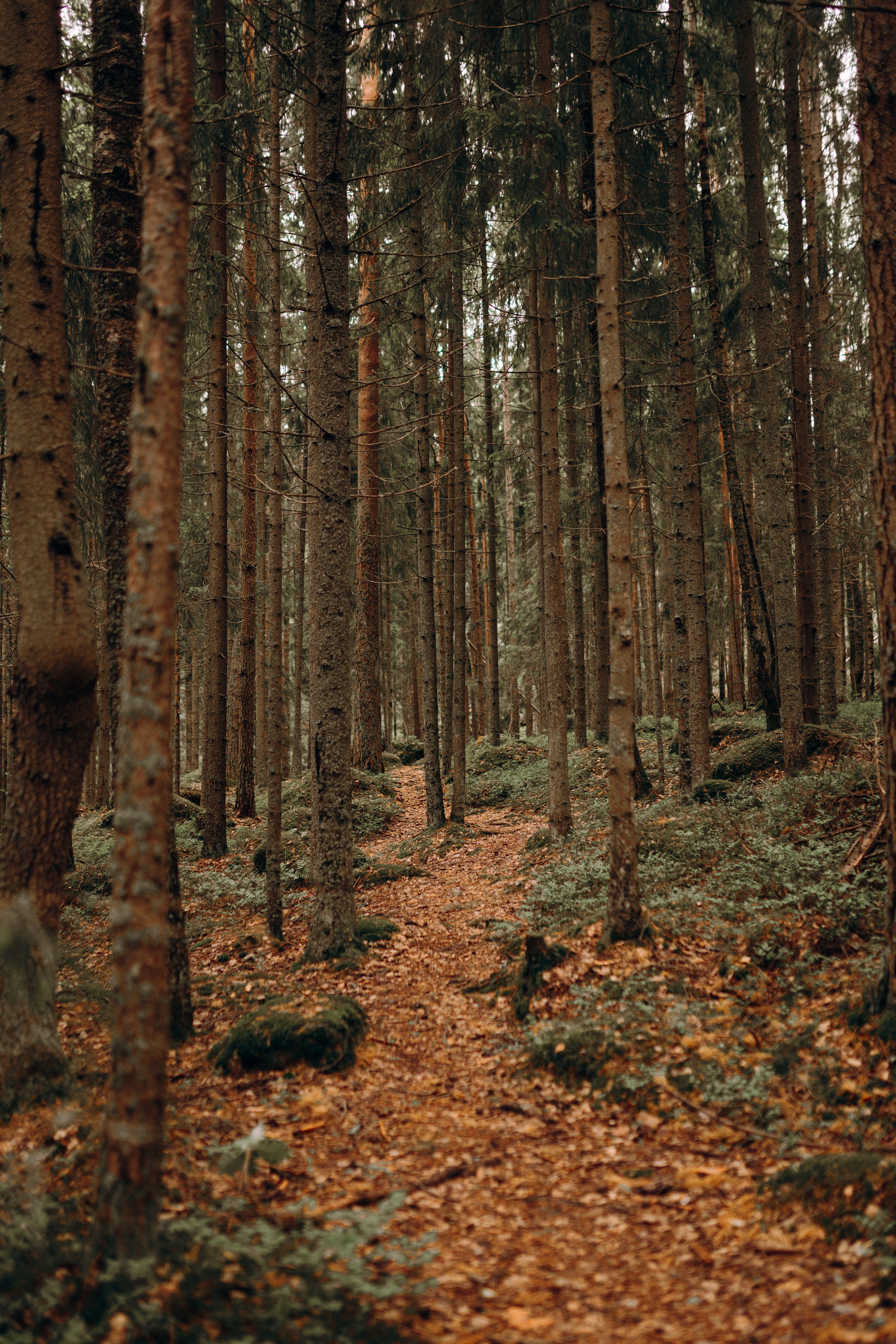 Санкт-Петербург. Фотограф Екатерина Катунова | Москва