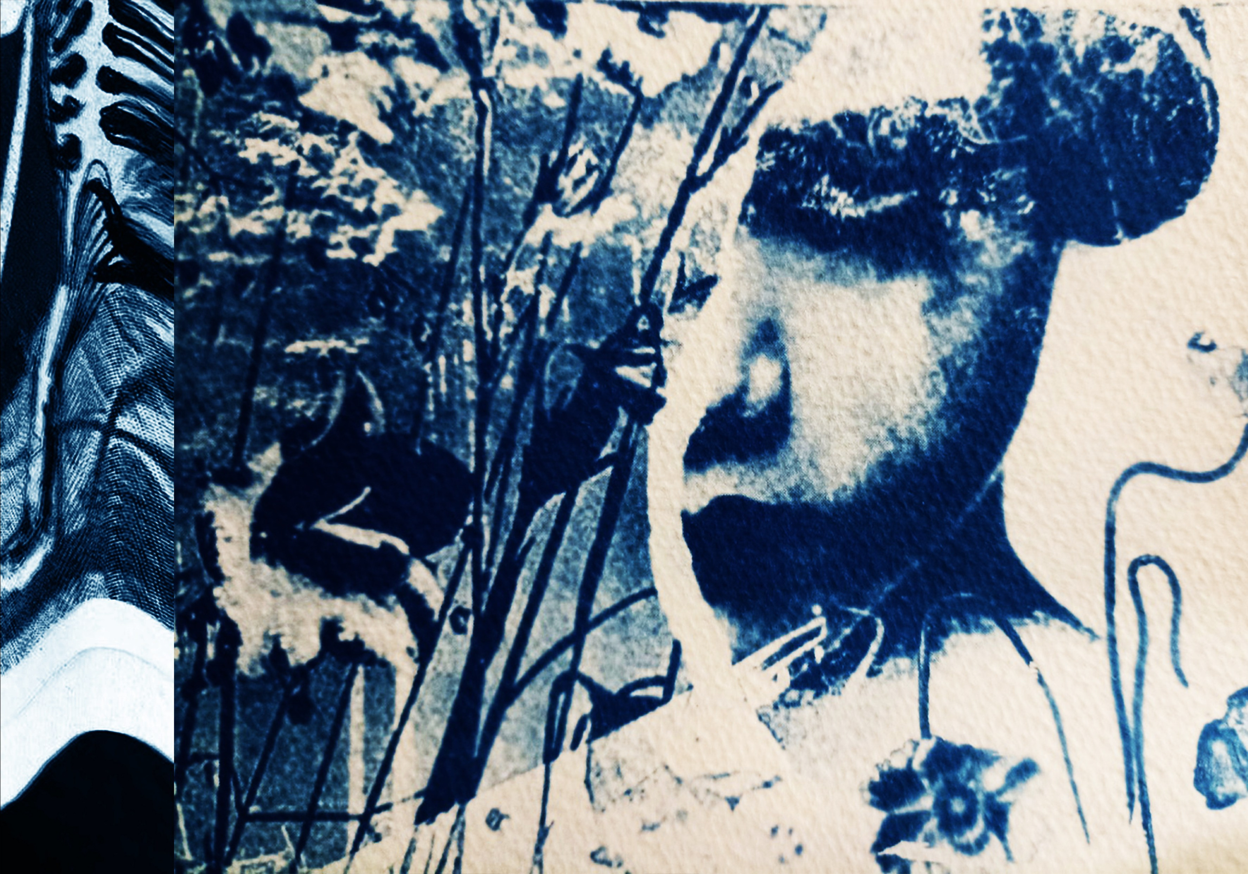 Ира Бринкус | Лес. Private image