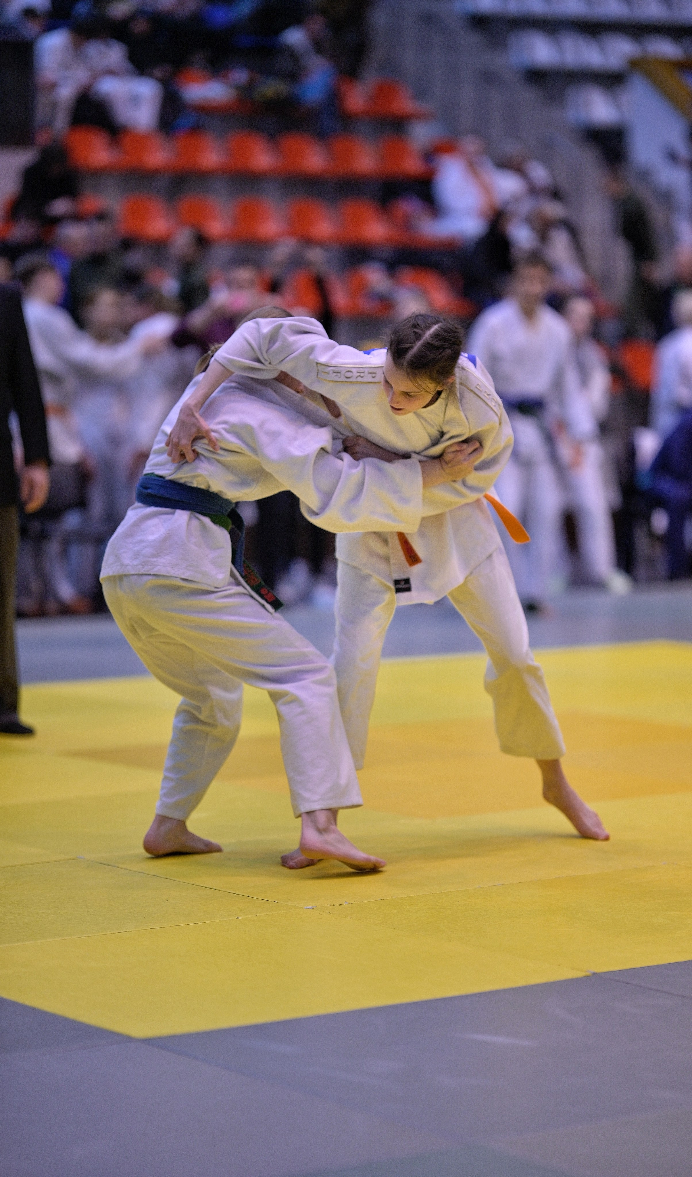 Турнир по дзюдо памяти Андрея Завьялкина. Фотограф Ваших событий 📸