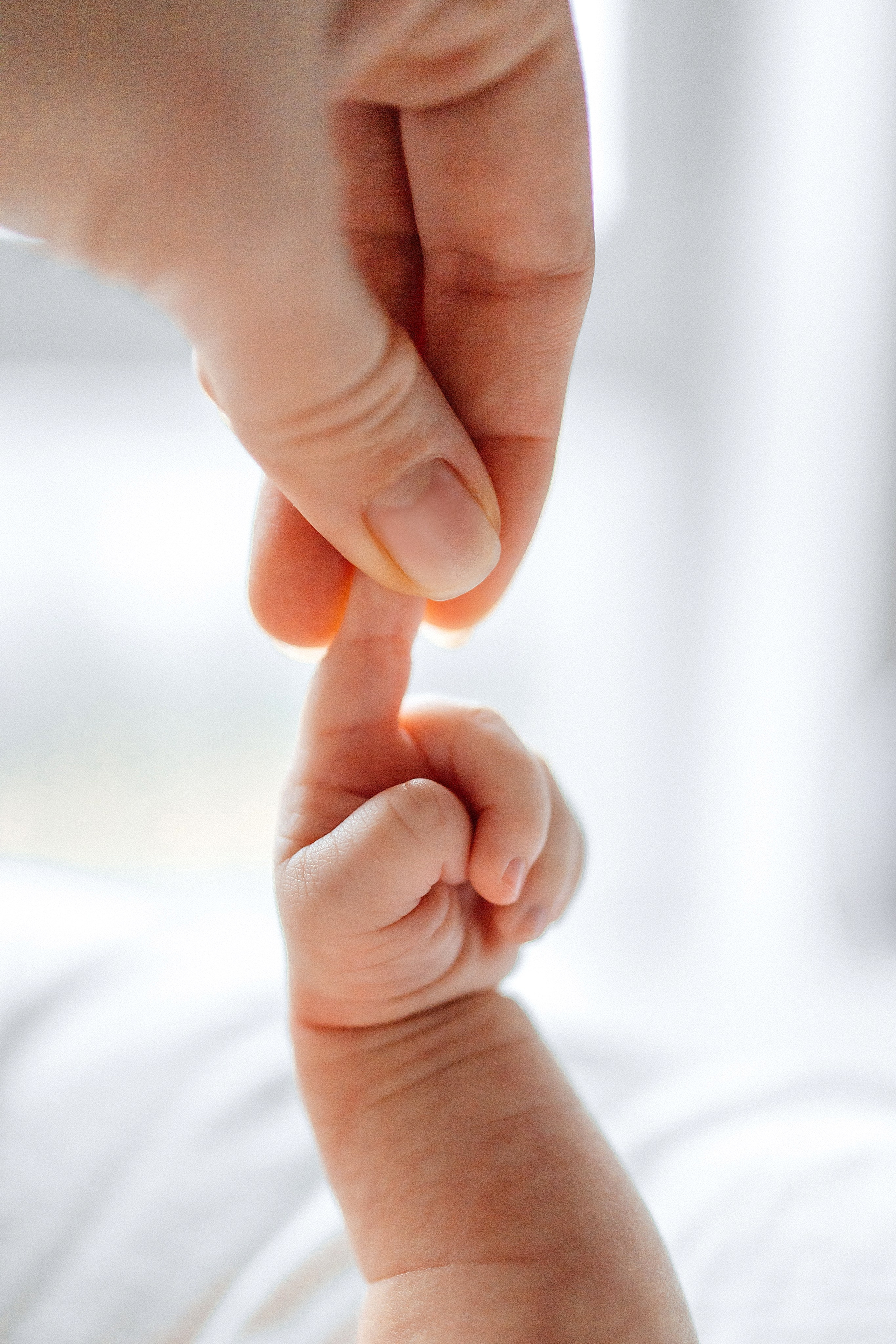 ПАКЕТ «Simple». Главная