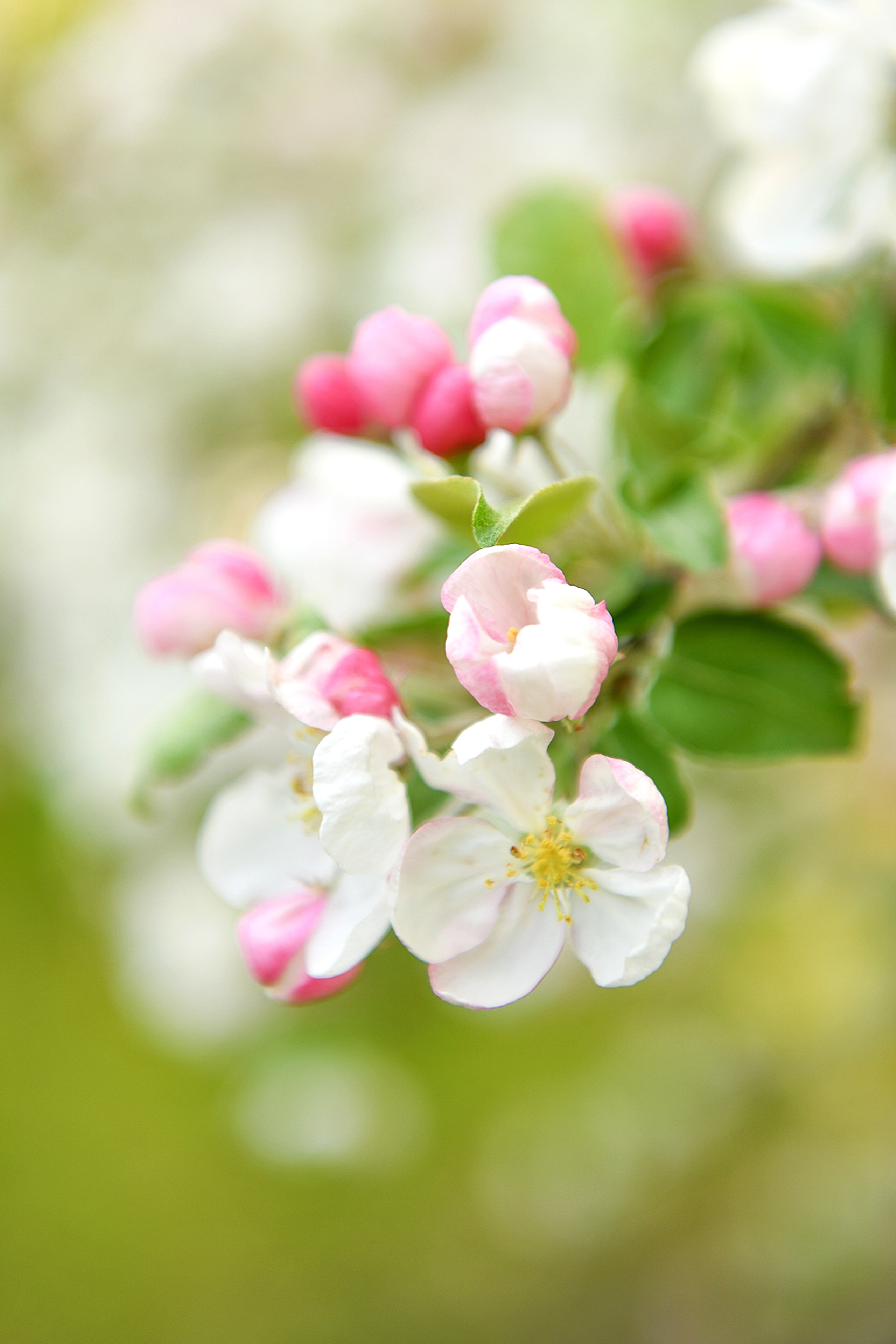 Александра и Юлиана. Замок Ольденбургских, Рамонь. Портретный и контент фотограф в Воронеже Елена Николайчик