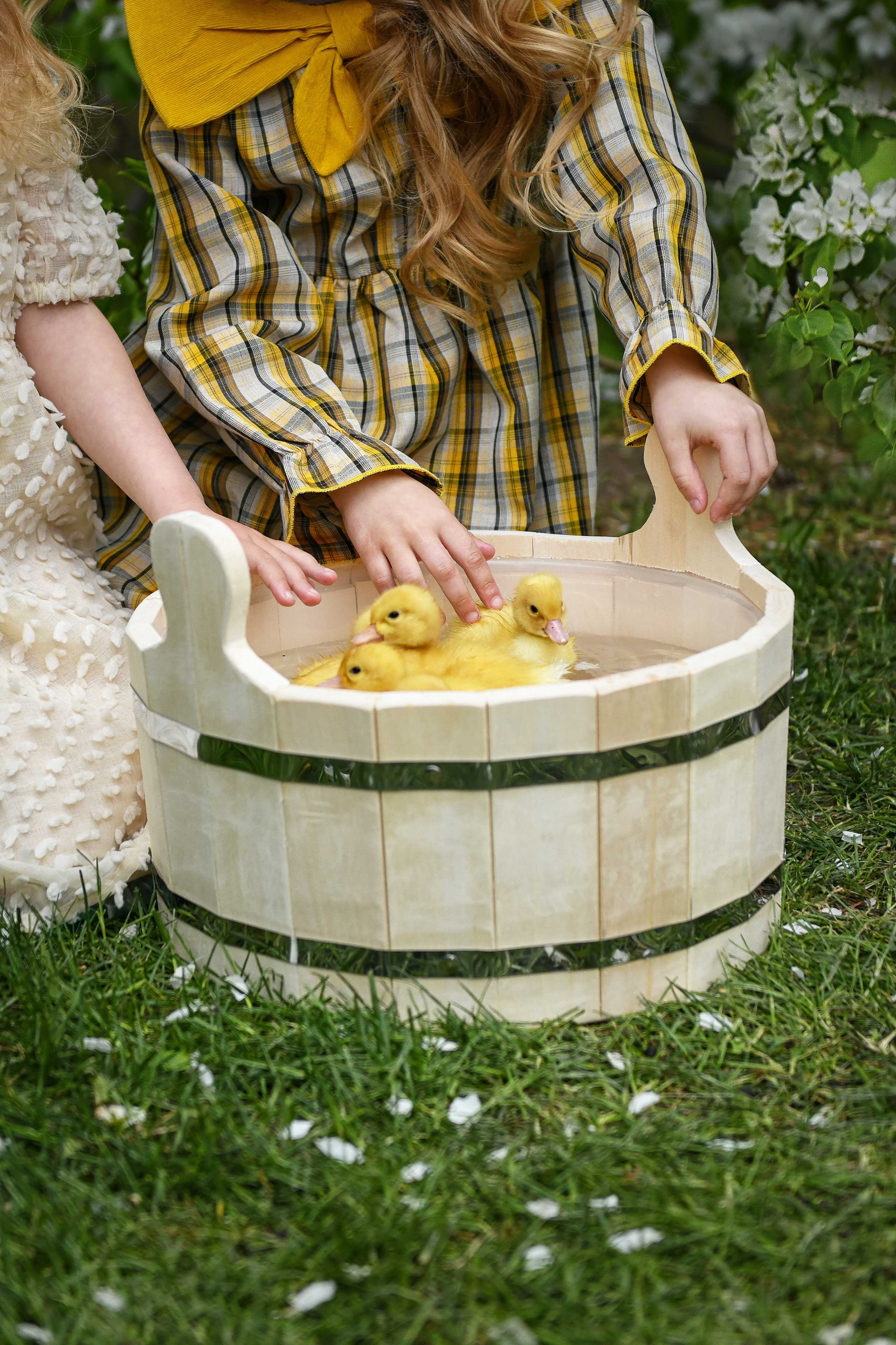 Утята. Парк «Музеон», Москва. Портретный и контент фотограф в Воронеже Елена Николайчик