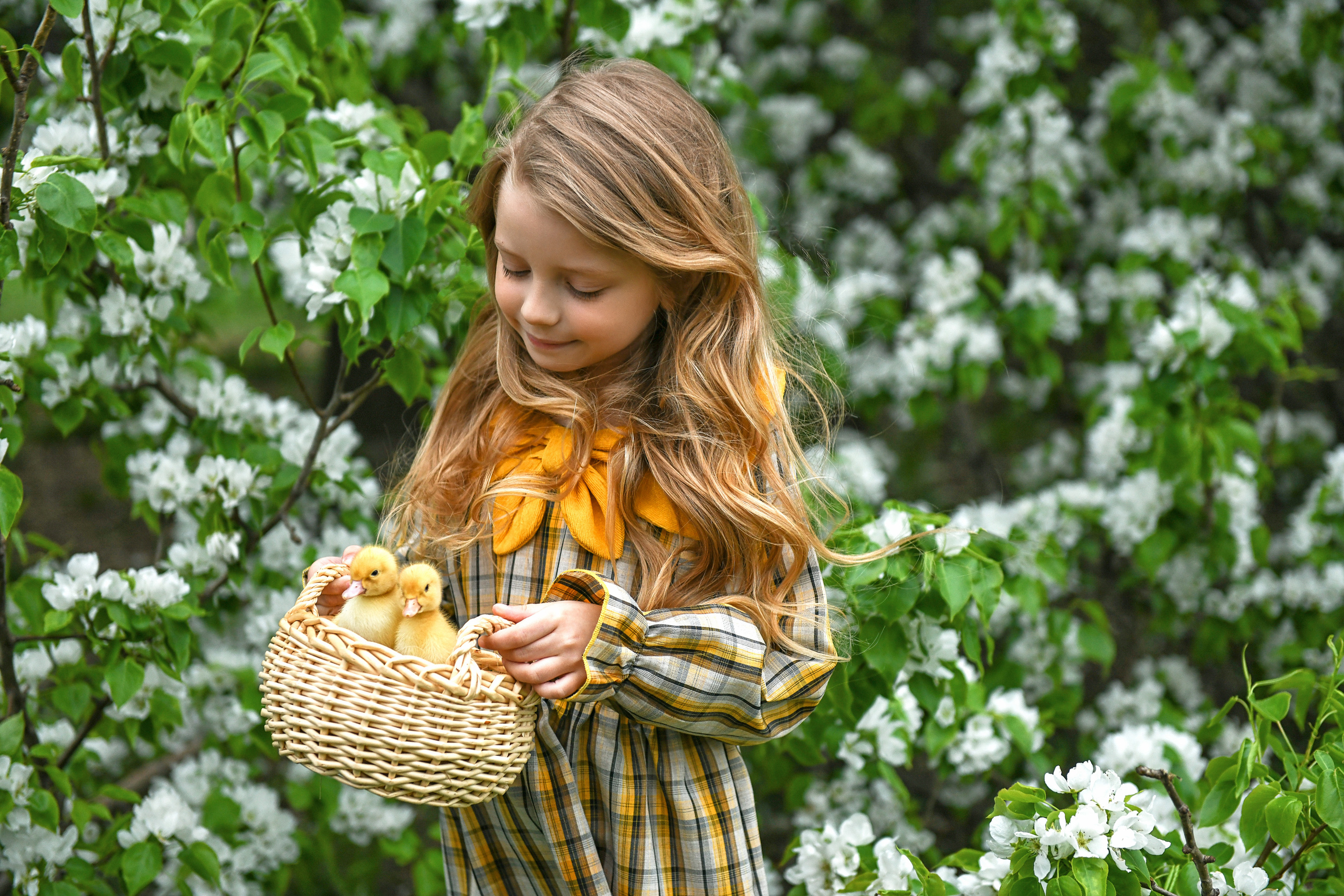 Утята. Парк «Музеон», Москва. Портретный и контент фотограф в Воронеже Елена Николайчик