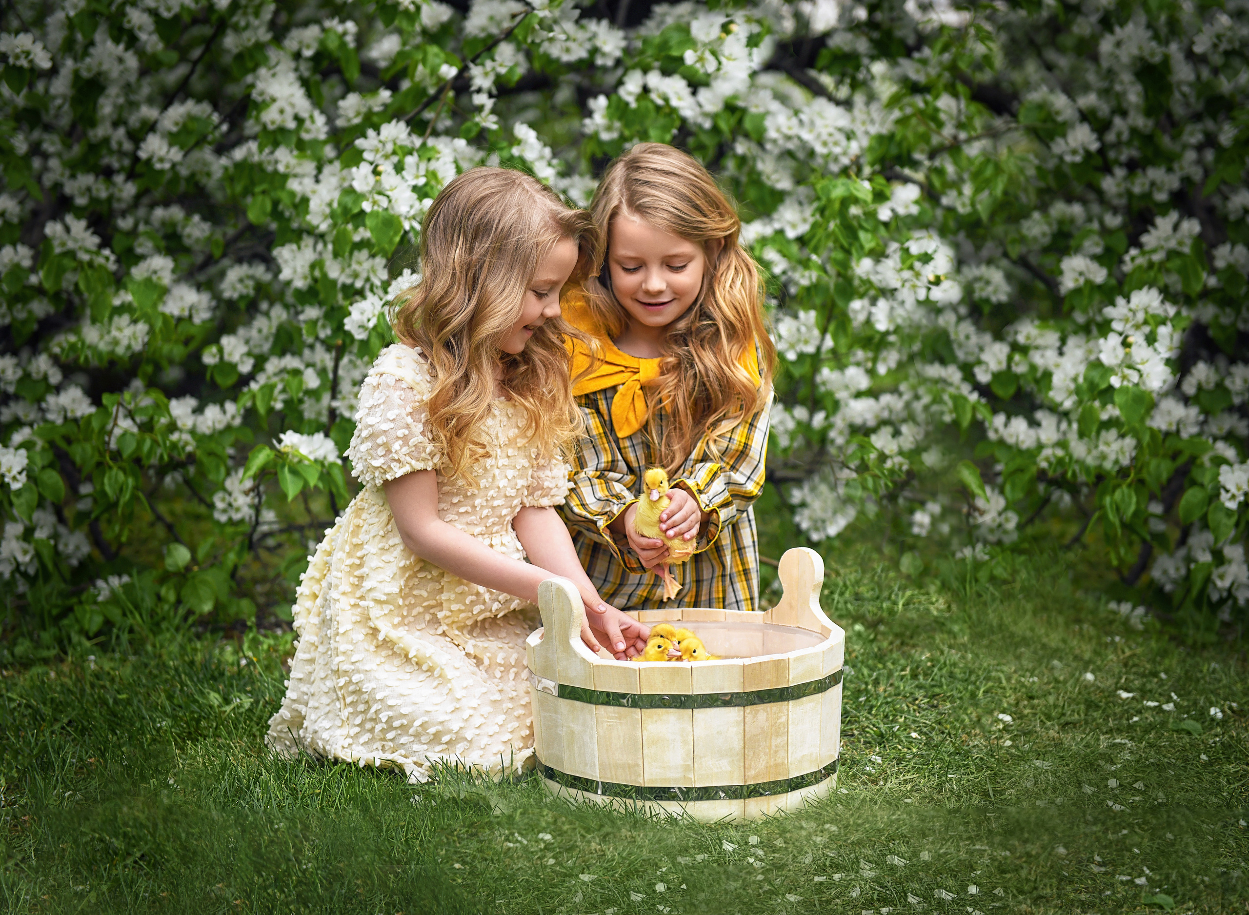 Утята. Парк «Музеон», Москва. Портретный и контент фотограф в Воронеже Елена Николайчик